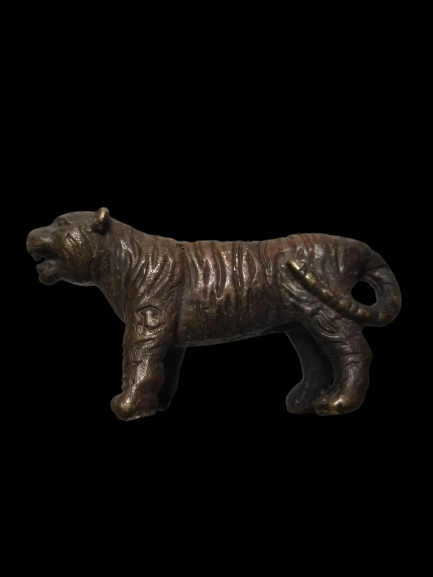 E136 เสือรูปหล่อ