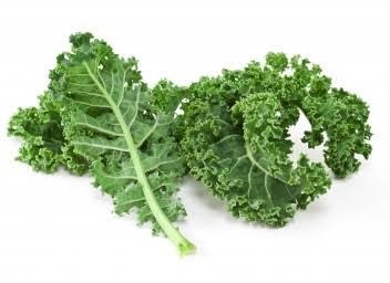 KALE เคลใบหยิก 100ม./ซอง