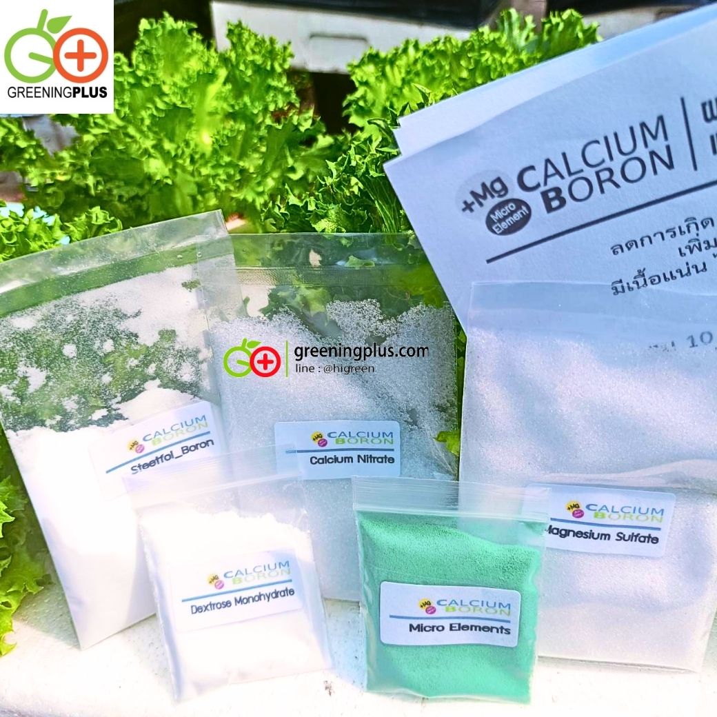 แคลเซียมโบรอน calcium boron (ชนิดผงสำหรับผสมสารละลายเข้มข้น)