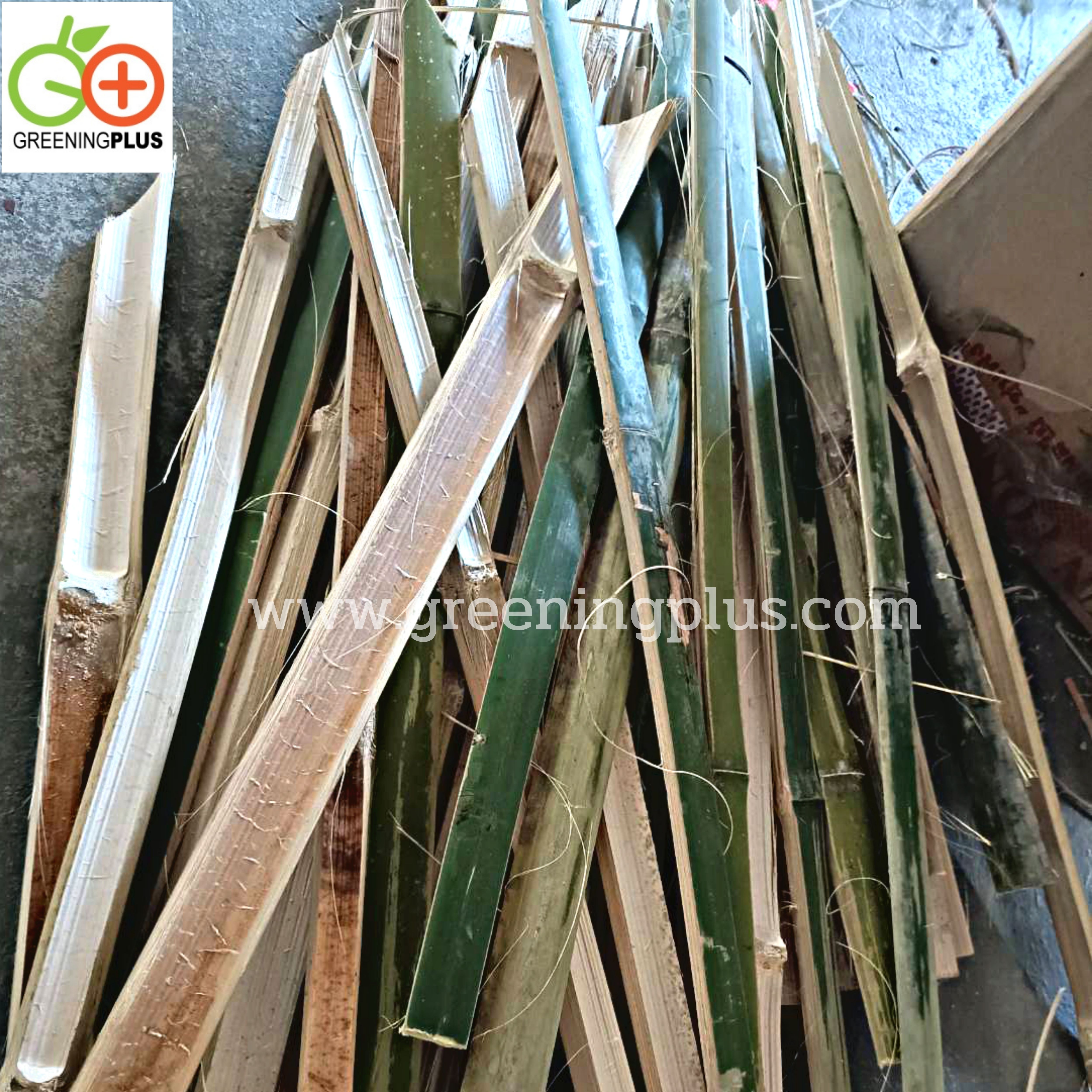 ไม้ปักค้ำต้นไม้ ไม้ไผ่ ไม้ซีก แหลมปลายสะดวกต่อการใช้งาน ขนาด 50 เซนติเมตร / มัด