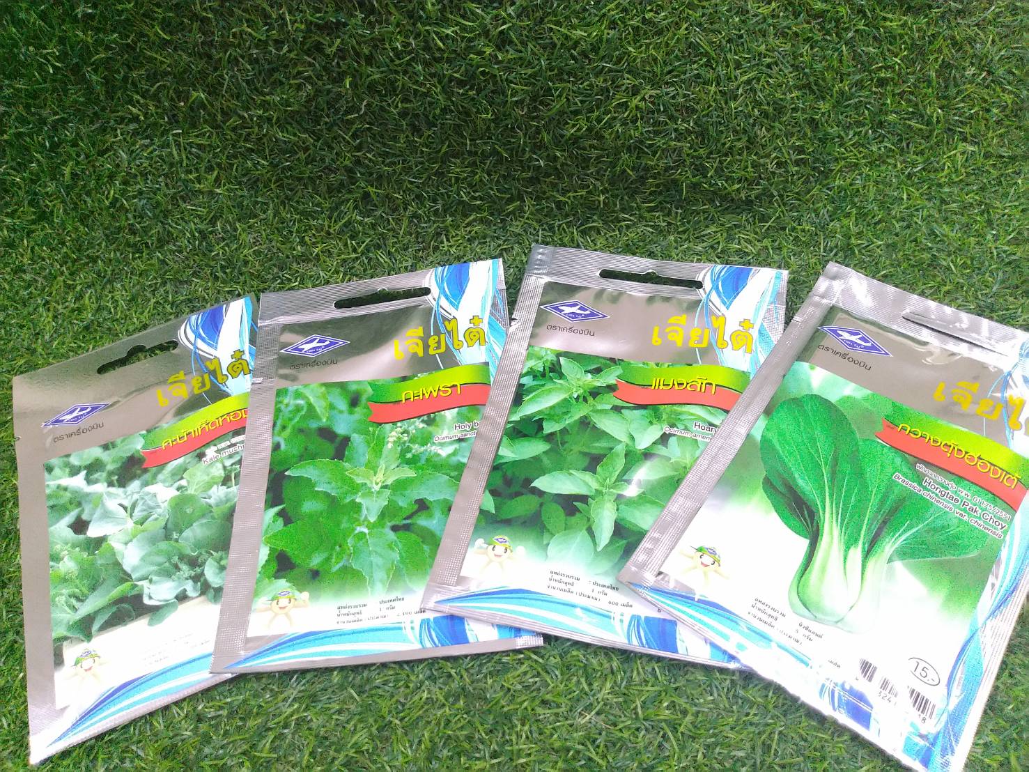 กวางตุ้งฮ่องเต้ (Hongtae Pak Choy) เจียใต๋