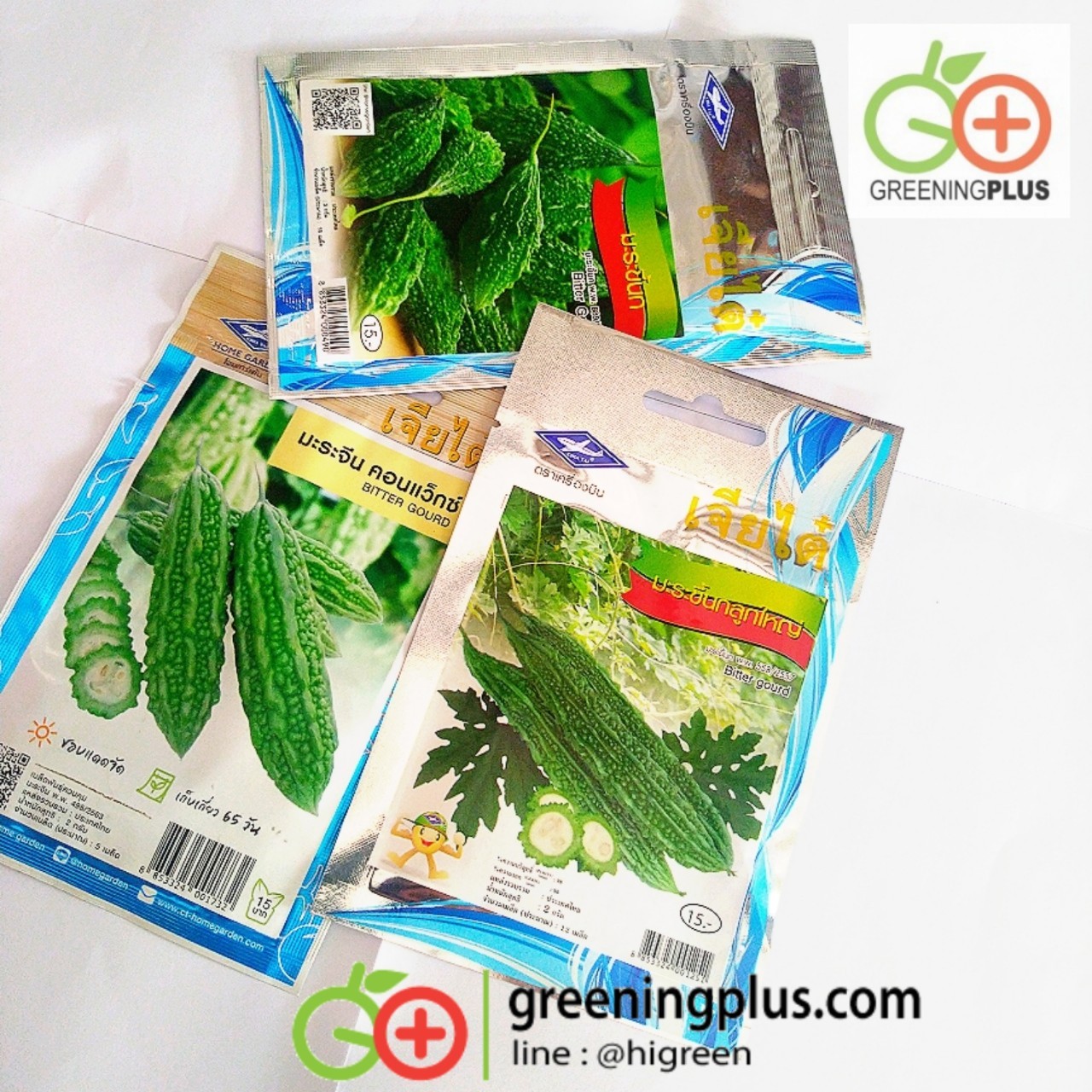 มะระขี้นกลูกใหญ่ bitter gourd เจียไต๋