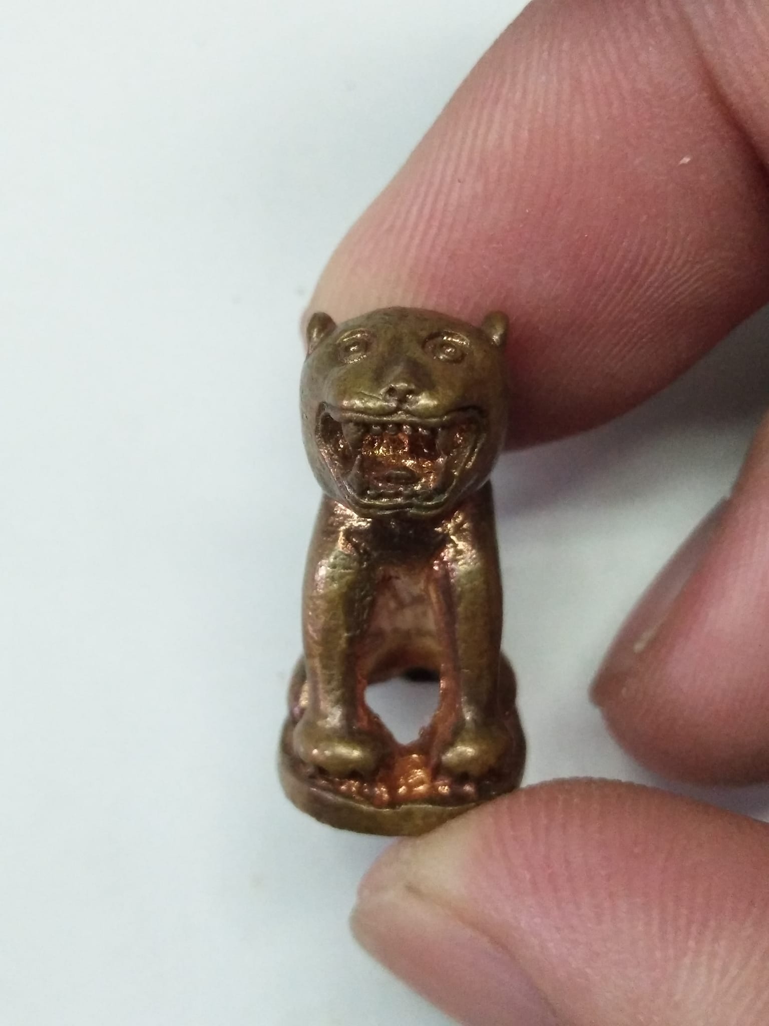 G433 พยัคฆ์เสือหน้าแมวหลวงพ่อวงษ์วัดปริวาสราชสงครามปี2548พิมพ์ใหญ่ปากอ้าเนื้อทองแดงนอกหลวงพ่อสมชายศิษย์เอกปลุกเสก1ไตรมาส3เดือน