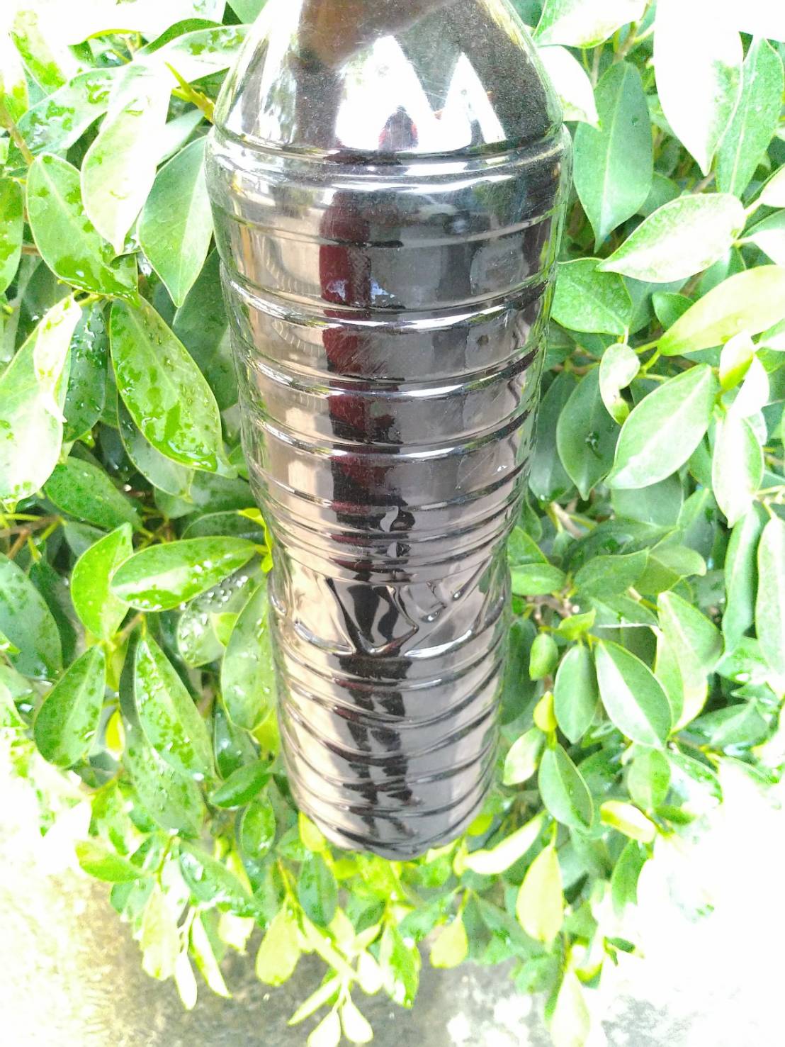 กากน้ำตาล 2 กก.