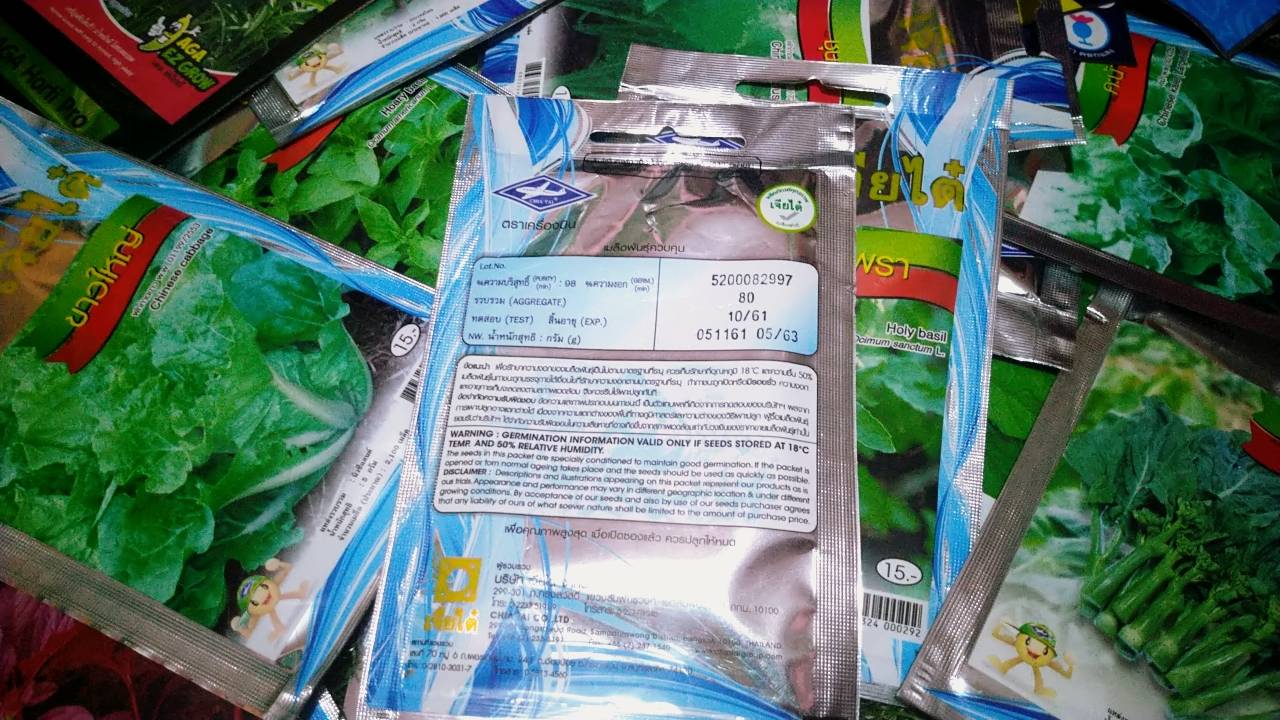 กวางตุ้งดอก ต้นเขียว Edible rape เจียไต๋