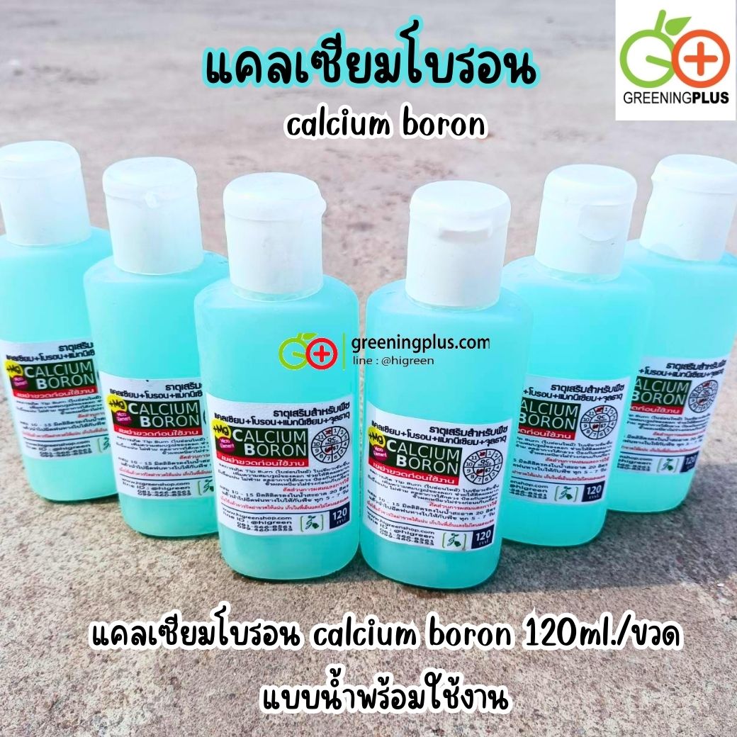 แคลเซียมโบรอน calcium boron (ชนิดผงสำหรับผสมสารละลายเข้มข้น)