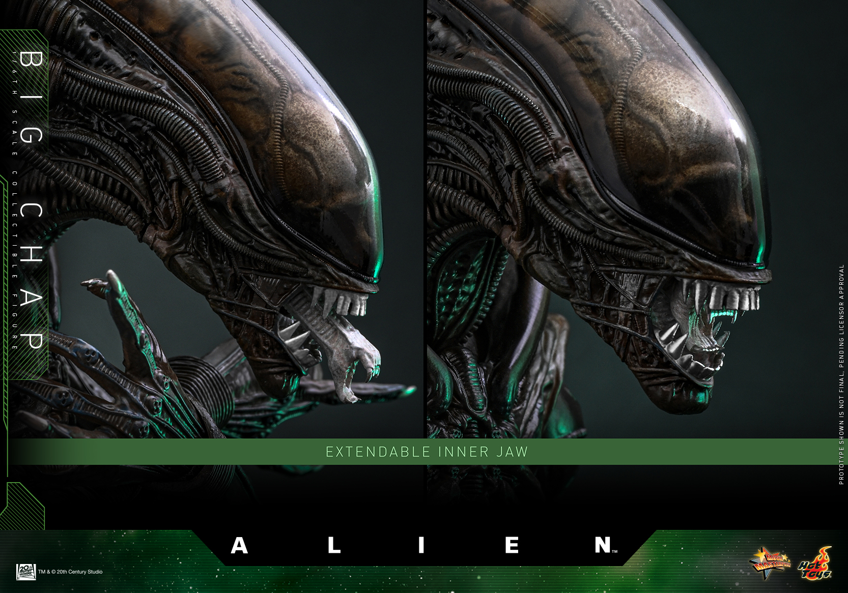 25/08/2568 Hot Toys MMS826 Alien - Big Chap
