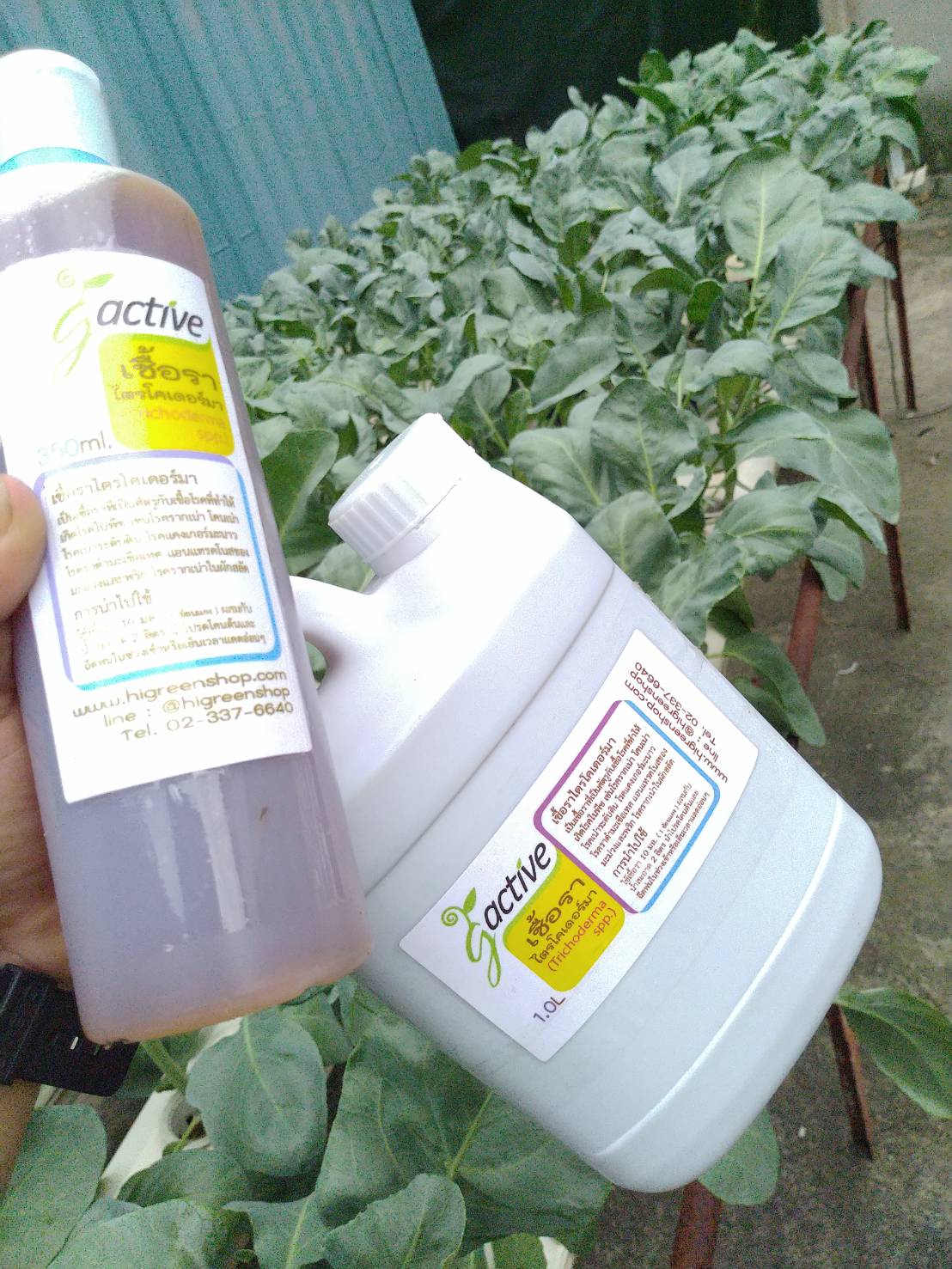 น้ำหมักจุลินทรีย์เชื้อราไตรโคเดอร์มา ขนาด 1000 มล.