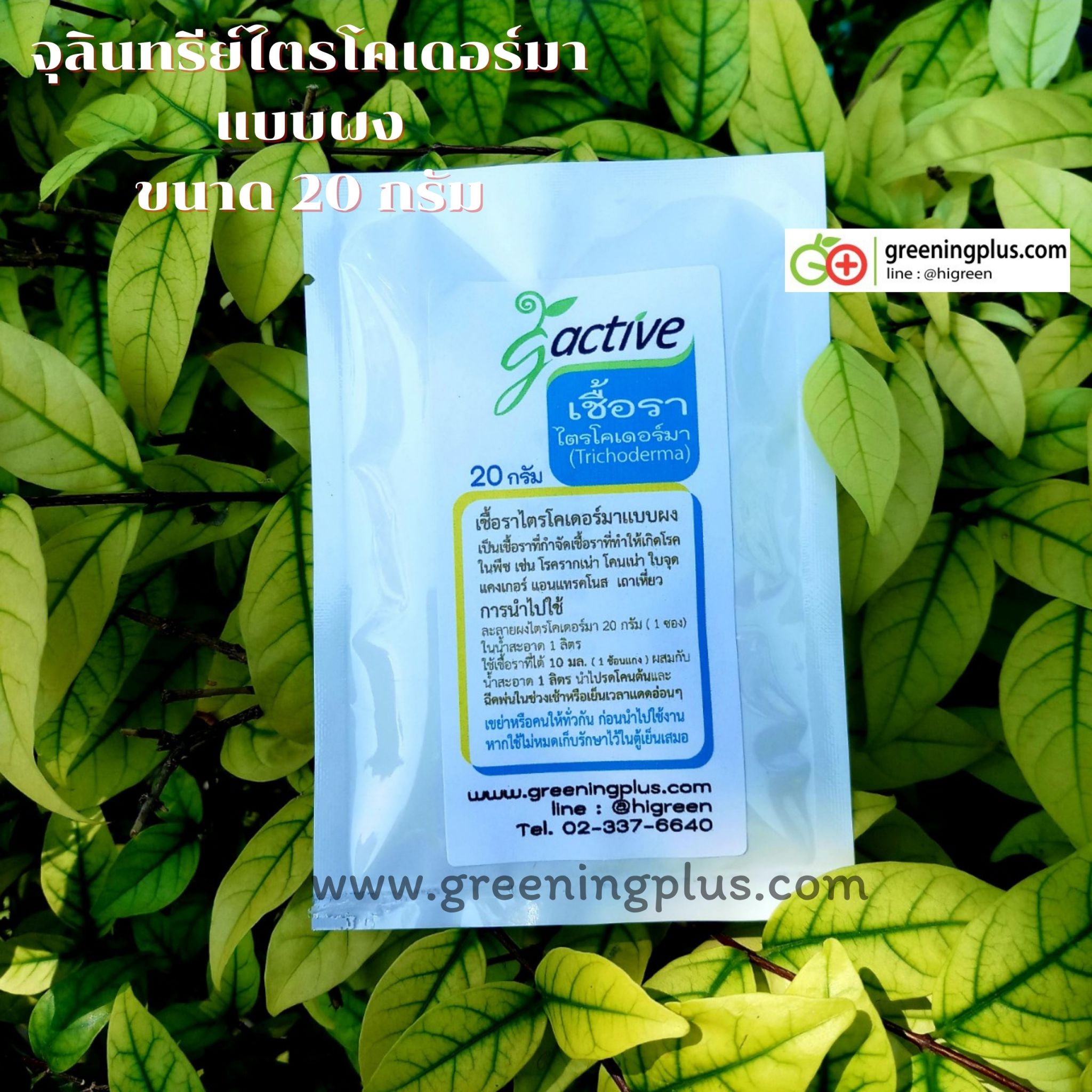 เชื้อราไตรโคเดอร์มาแบบผง 20 กรัม ผสมน้ำได้ 1 ลิตร