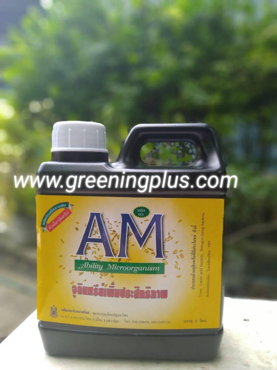 หัวเชื้อจุลินทรีย์ AM จุลินทรีย์เพิ่มประสิทธิภาพ ขนาด 1 ลิตร