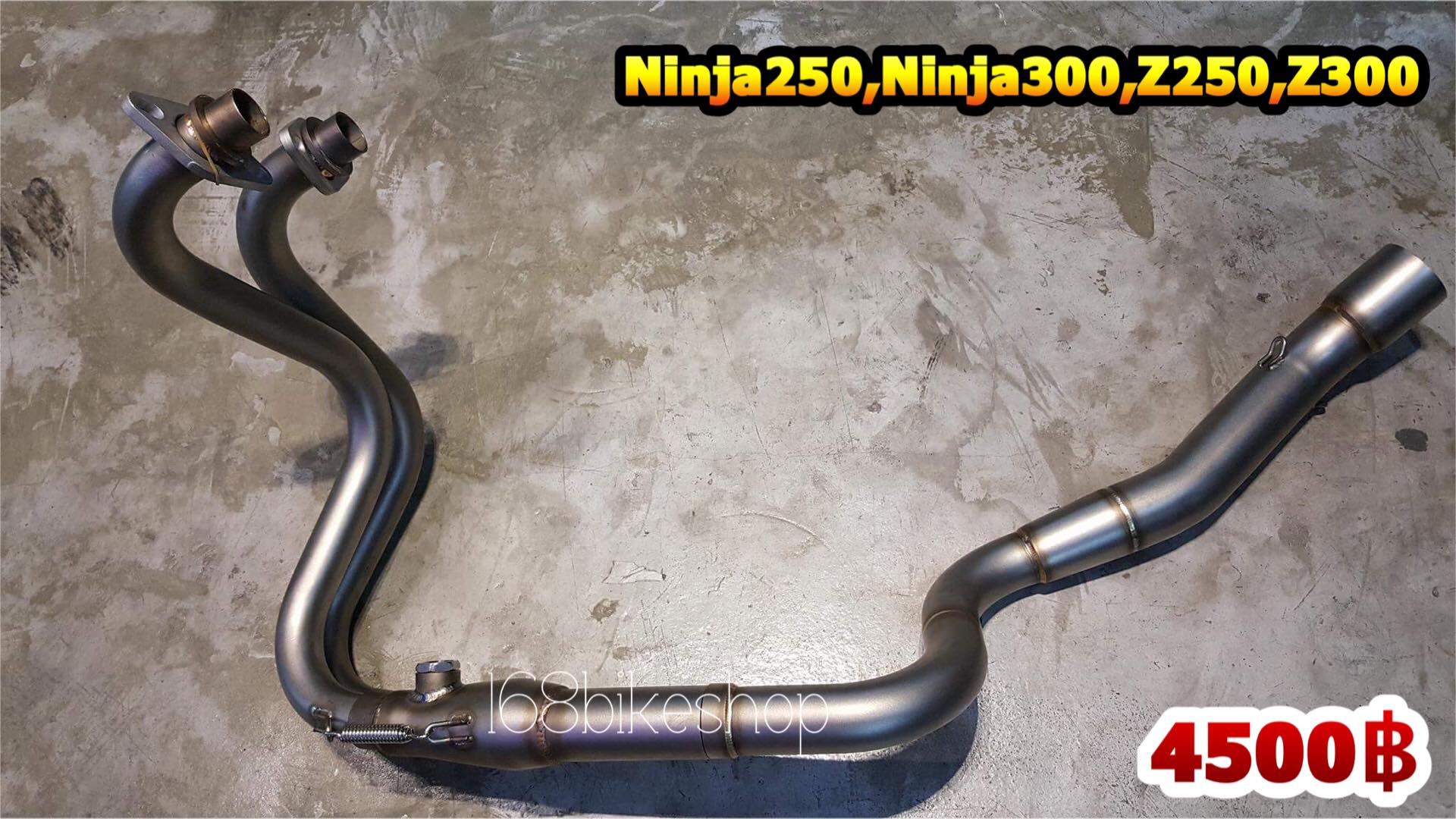 Ninja/Z250-300