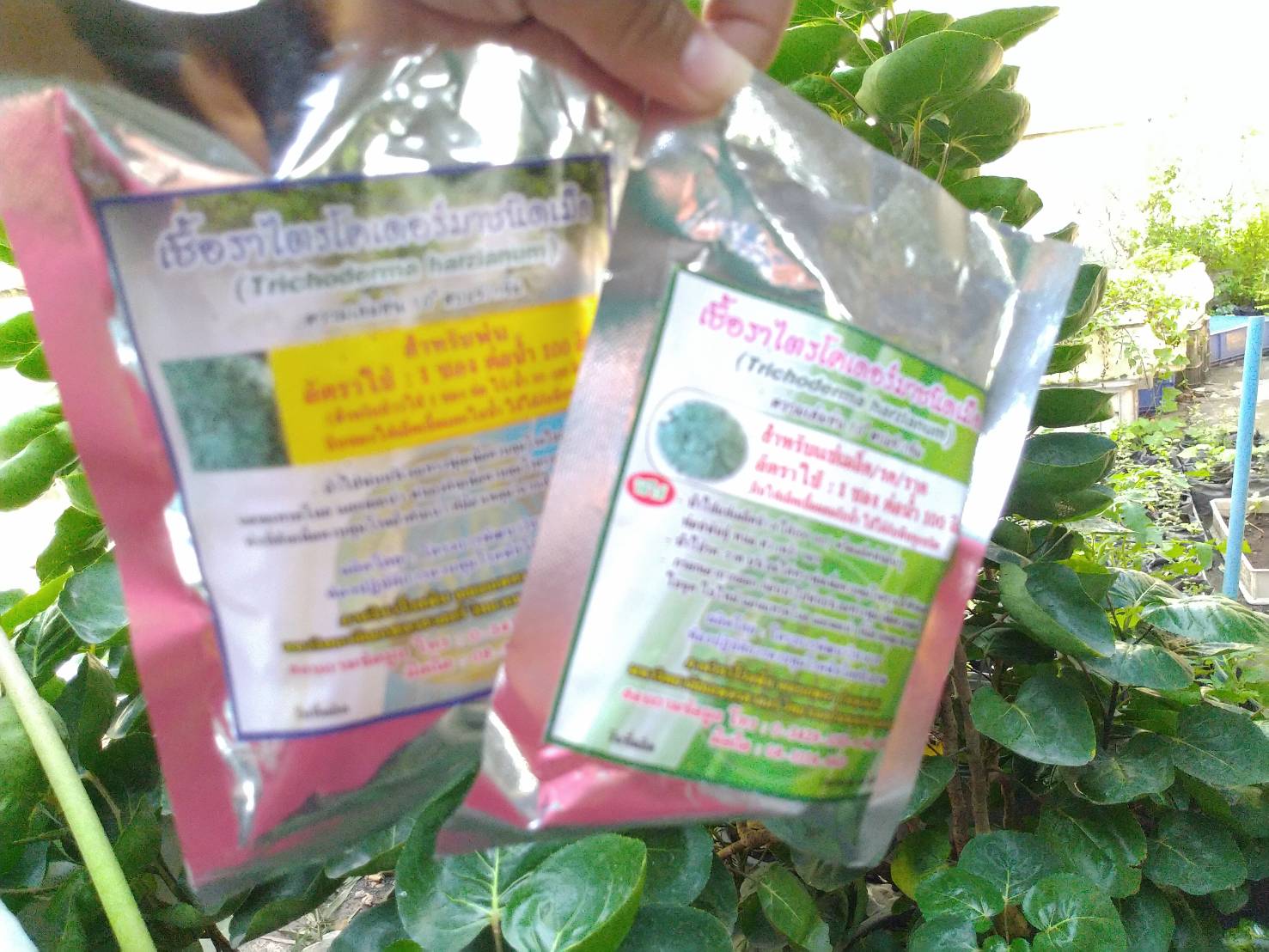 เชื้อราไตรโคเดอร์มาชนิดเม็ด(สำหรับฉีดพ่น) 100 กรัม