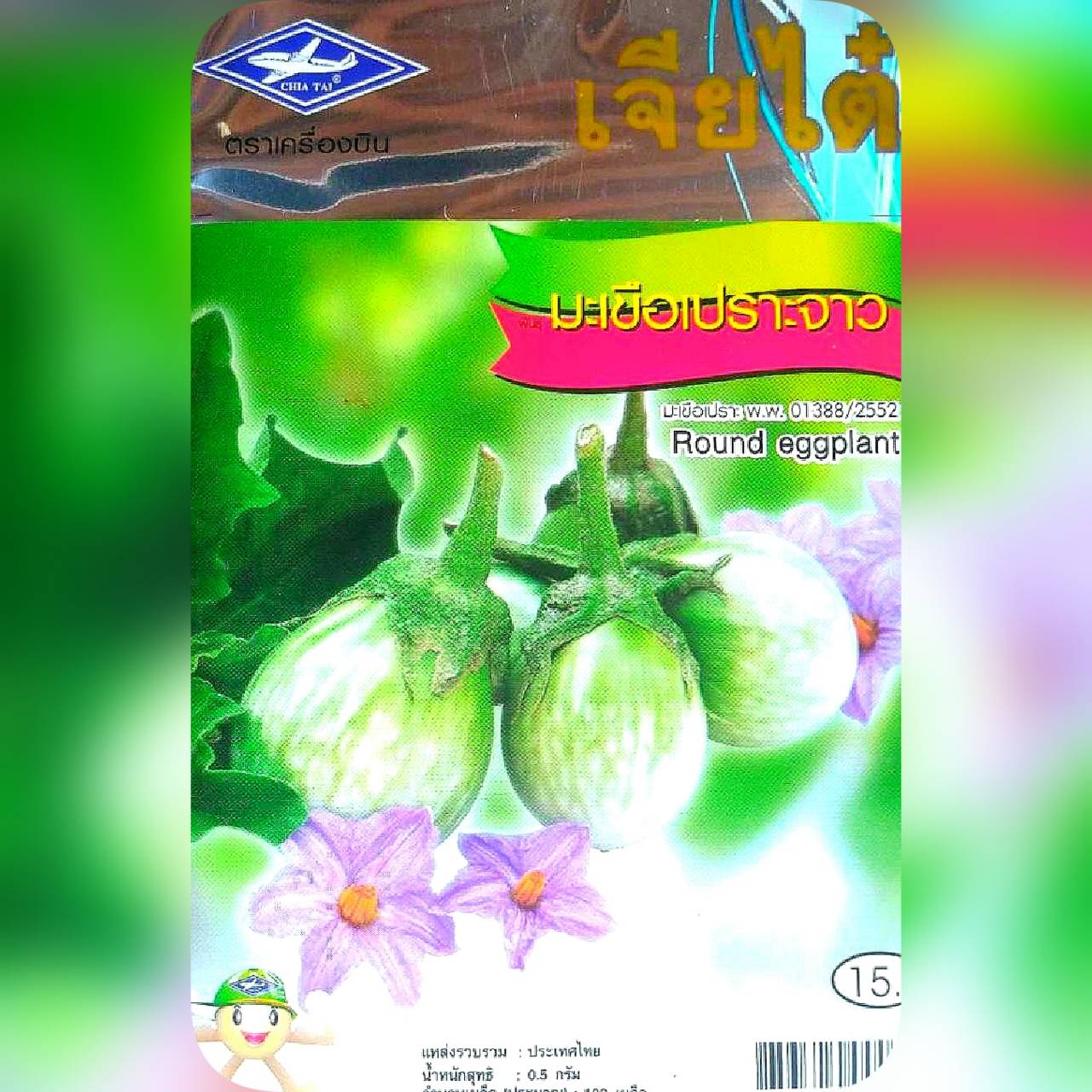 มะเขือเปราะจาว Round eggplant เจียใต๋