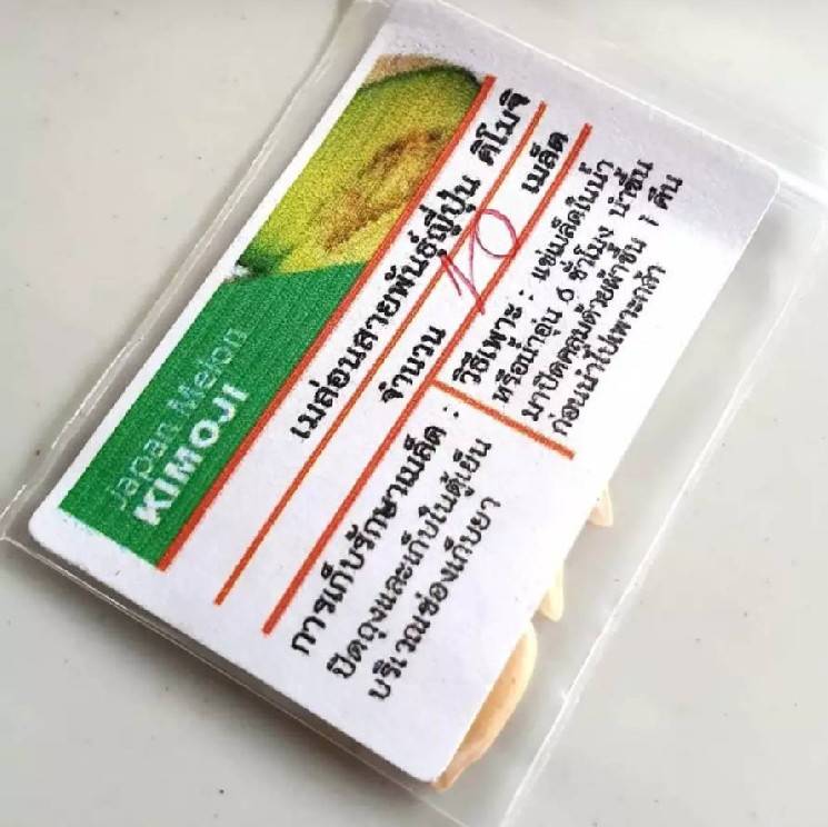 เมล่อน คิโมจิ Japan Melon Kimoji 10 เมล็ด