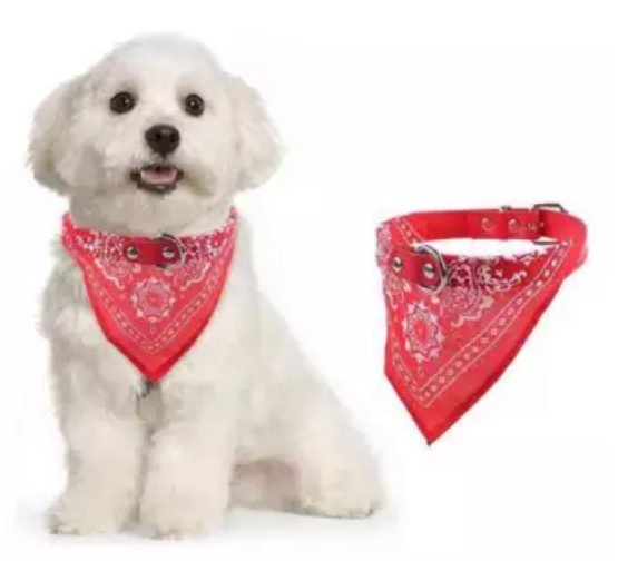 ปลอกคอหนังผ้า สำหรับน้องหมาและน้องเหมียว ขนาด M ราคา 69 บาท ......................................... 📮มีบริการส่งสินค้าทางKerry แบบเก็บเงินปลายทางด้วยนะคะ รอติดตามข่าวสารและโปรโมชั่นร้านได้ตลอดนะคะ ติดต่อสอบถามได้ตลอดที่ 📲085-6317683 Line