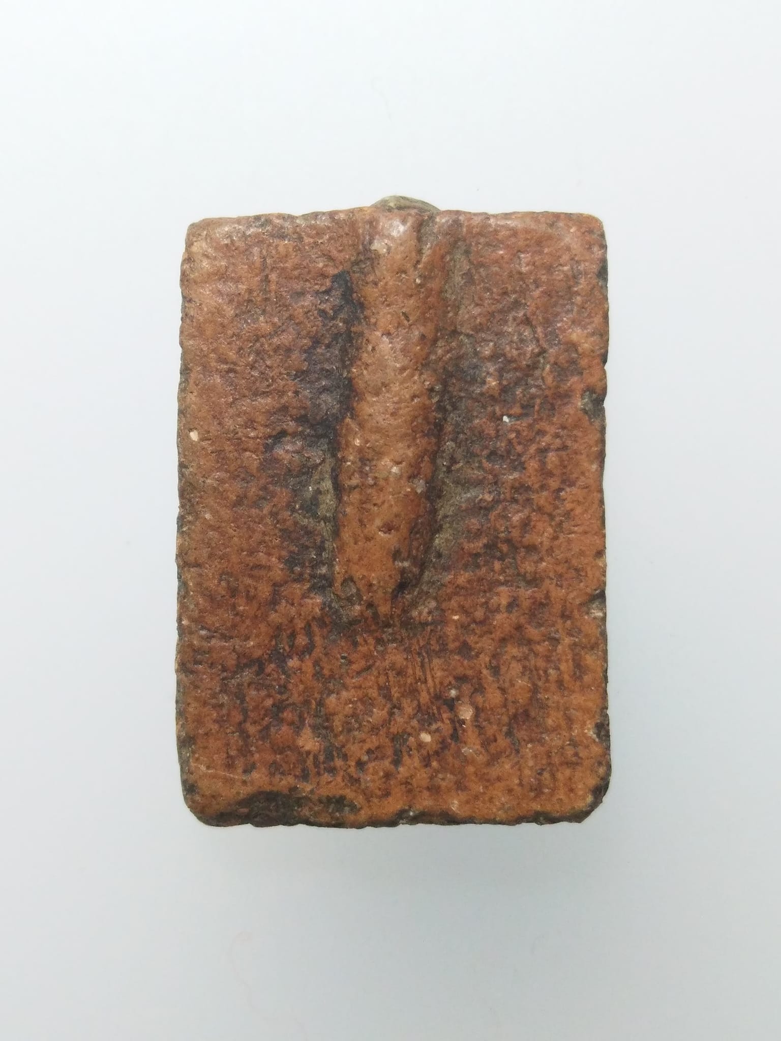 F128 หลวงพ่อปาน วัดบางนมโค อยุธยา พิมพ์ขี่ปลาจีน