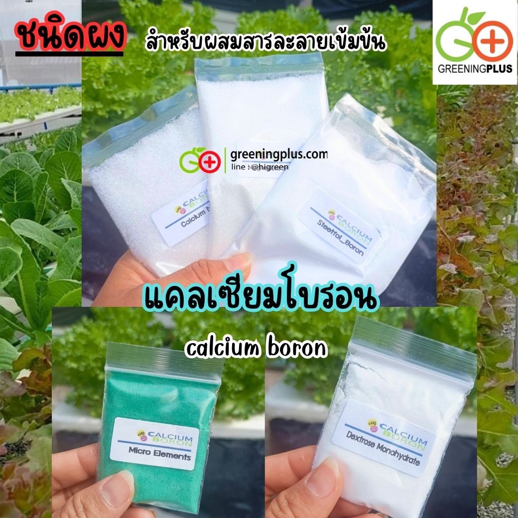 แคลเซียมโบรอน calcium boron (ชนิดผงสำหรับผสมสารละลายเข้มข้น)