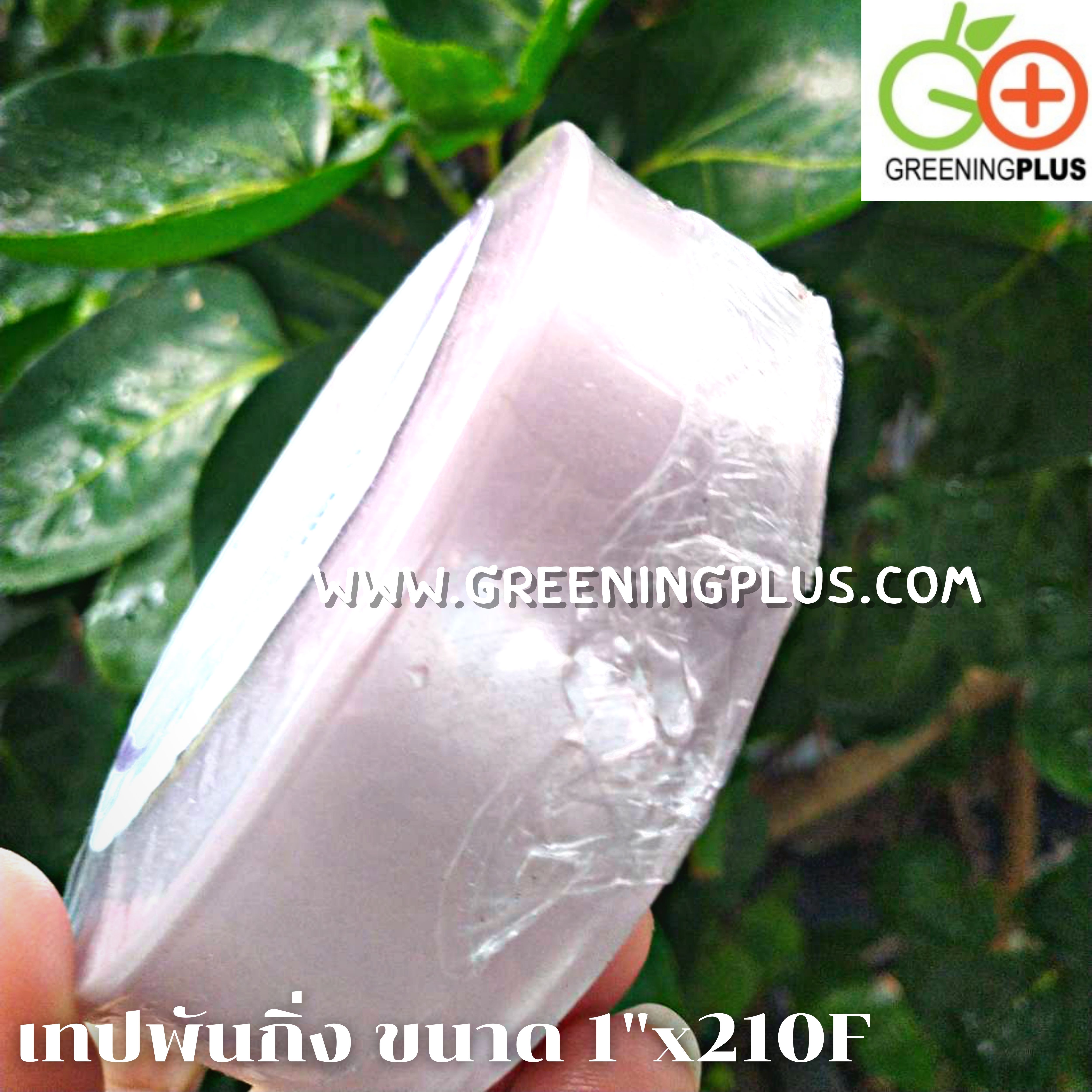 เทปพันกิ่ง ขนาด 1"x210F