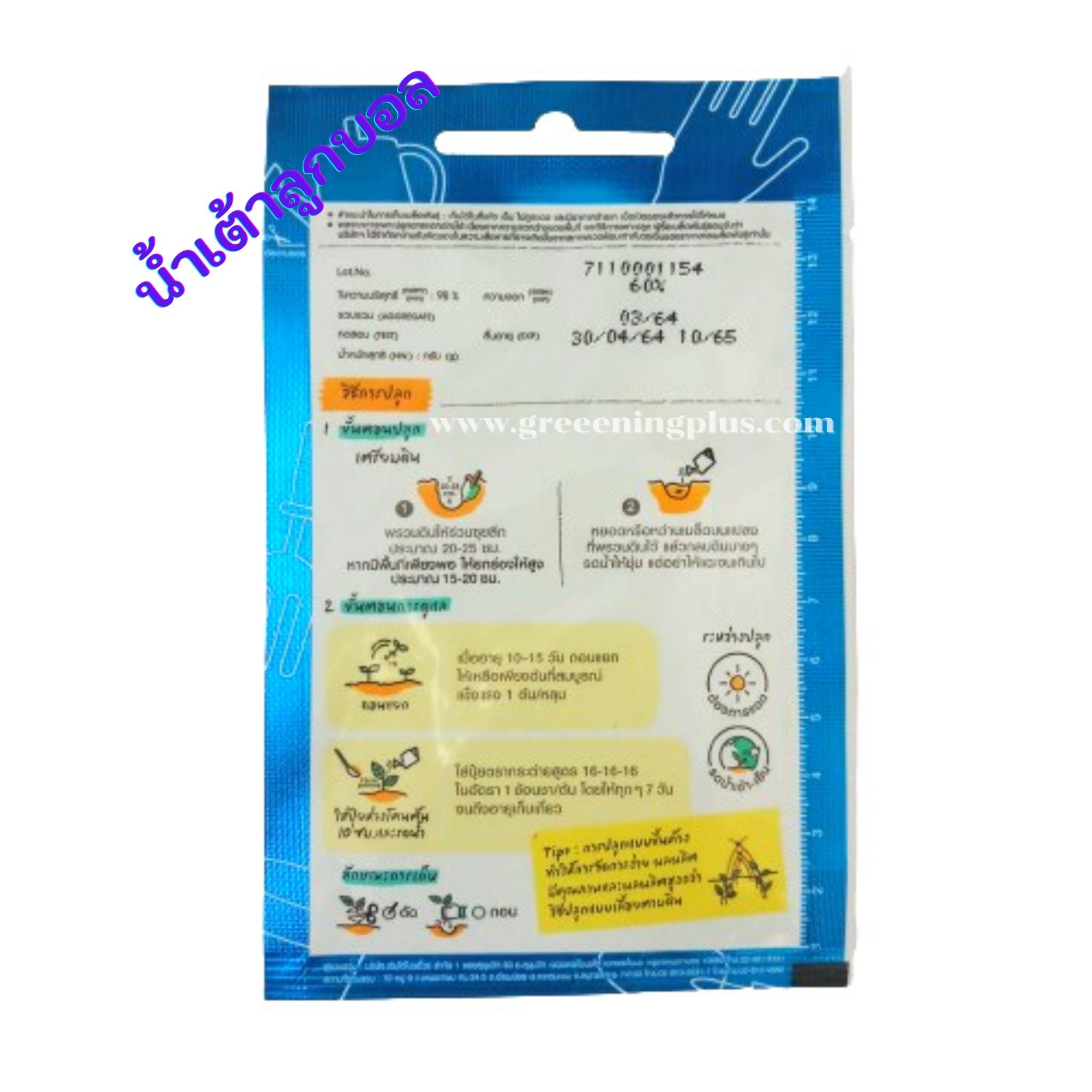 น้ำเต้าลูกบอล (Bottle gourd) เจียไต๋