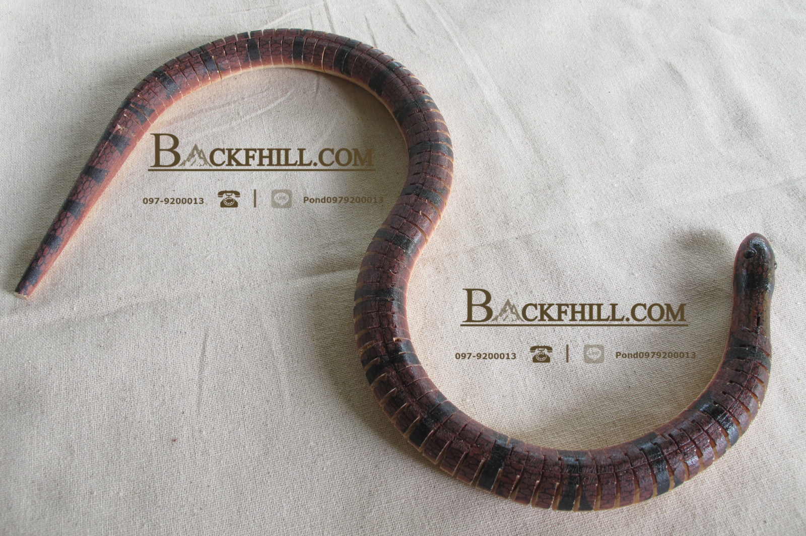 โมเดลงูไม้