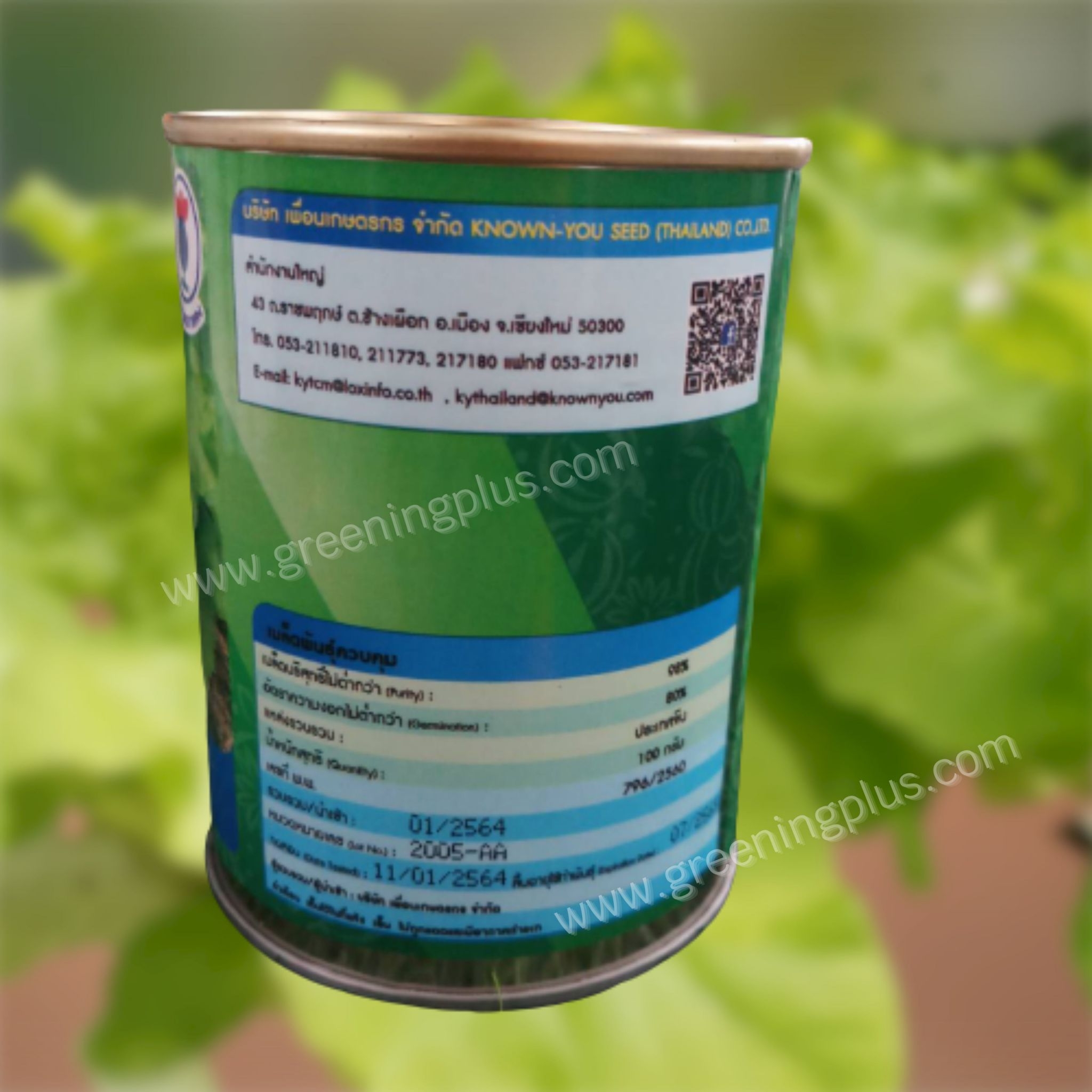 กาดขาวไดโตเกียวเบกานา (Chineae Cabbage) เพื่อนเกษตร