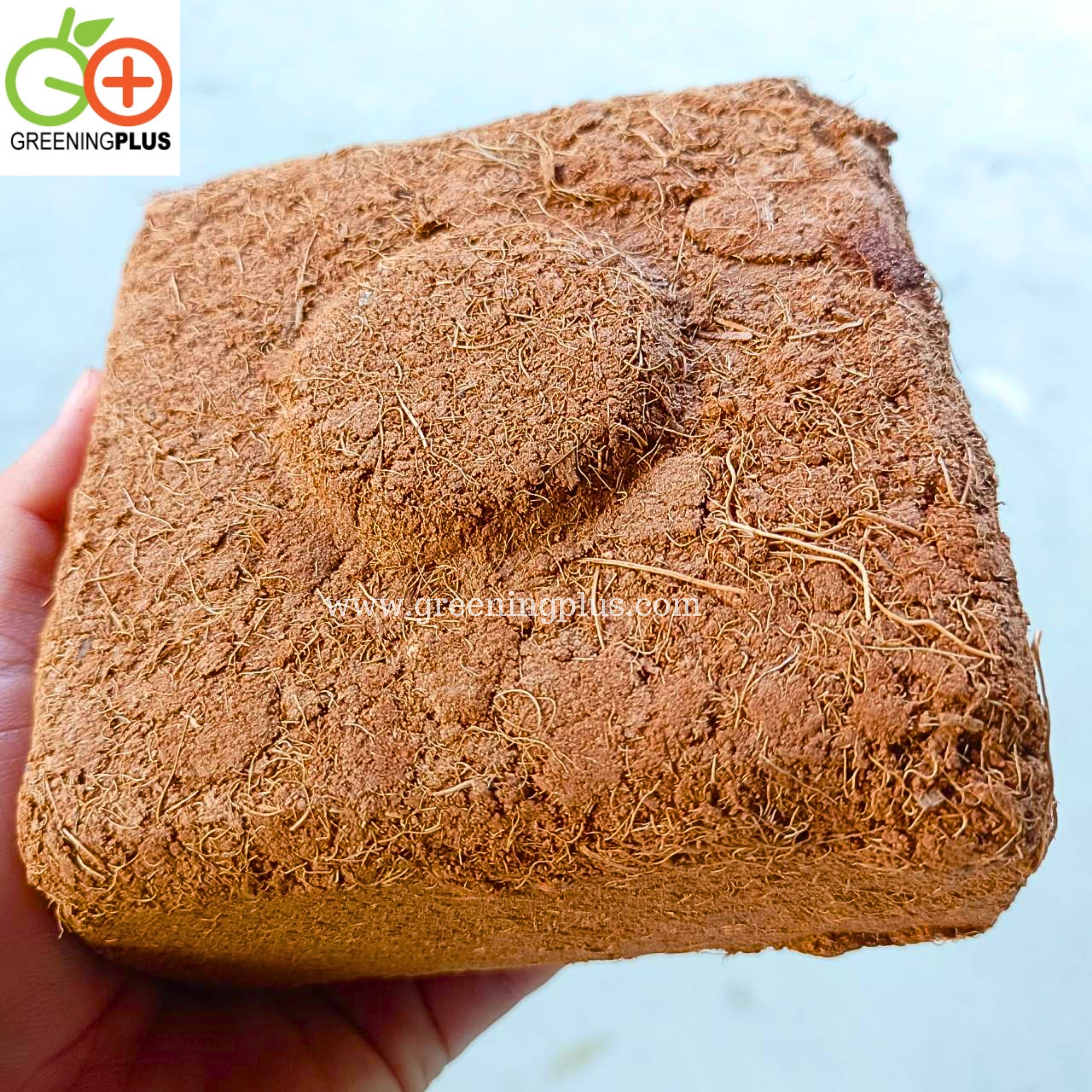 ขุยมะพร้าว ชนิด Treat 1 ก้อน/200 กรัม