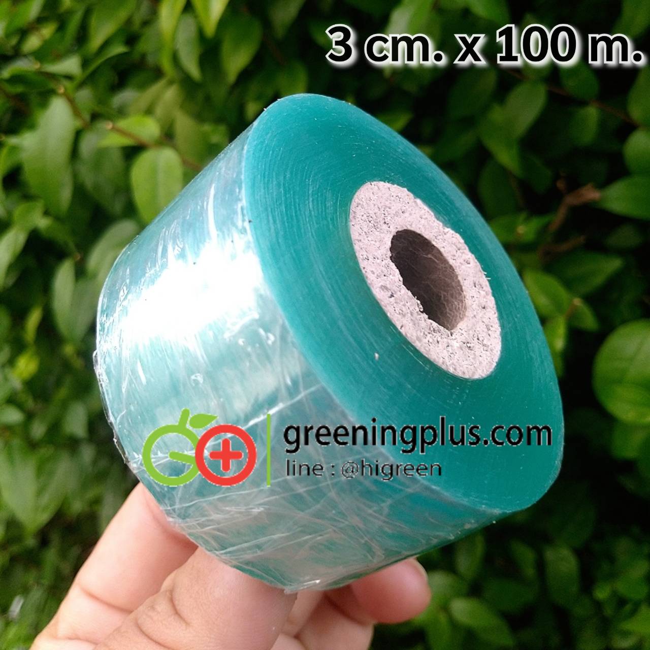 เทปพันกิ่งแบบใส (จำนวน 2 ม้วน)