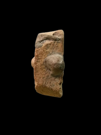 A841 พระหลวงพ่อปาน พิมพ์ขี่นก