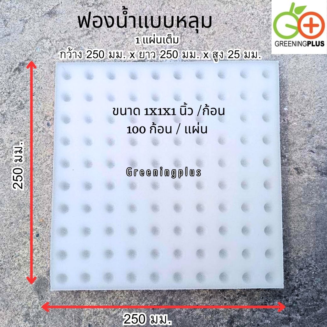 ฟองน้ำแบบหลุม เนื้อละเอียด ขนาด 1x1x1 นิ้ว (100 ช่องปลูก / แผ่น) จำนวน 1 แผ่น