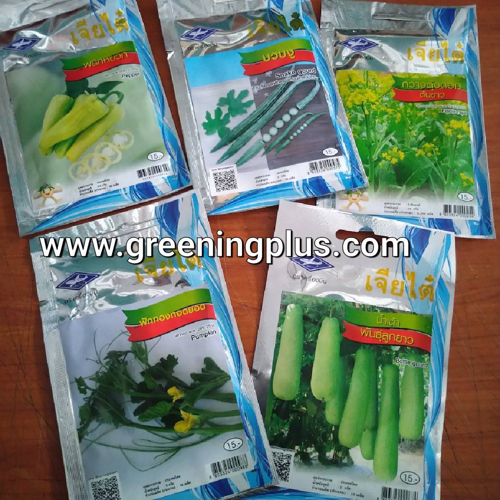 ฟักทองทอดยอด (Pumpkin) เจียไต๋