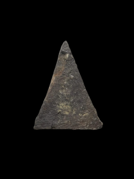 F154 พระนางพญา