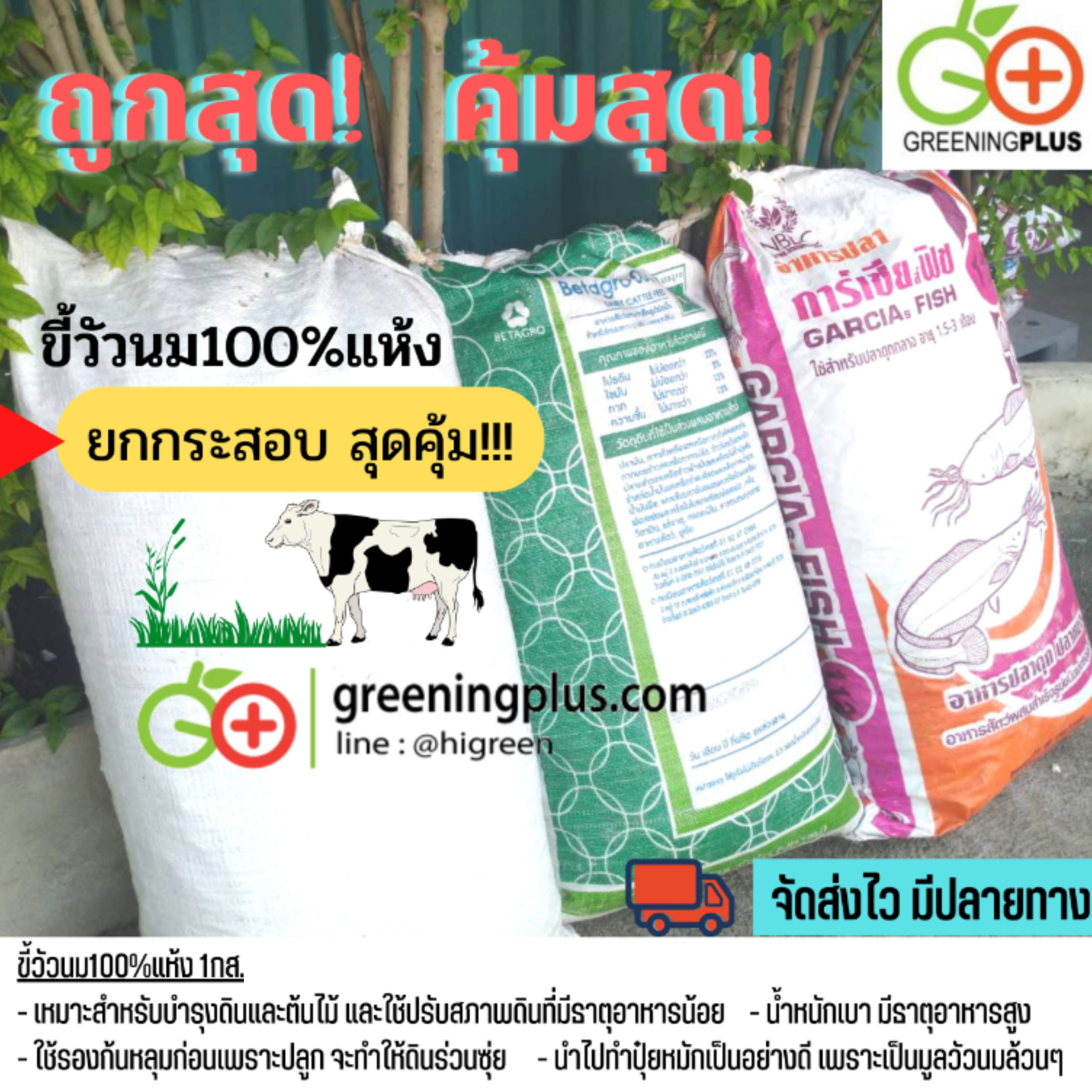 ขี้วัวนม100%แห้ง 1กส./6-10กก.