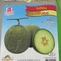 เมล่อน ปริ้นเซส MELONPRINCESS เจียใต๋