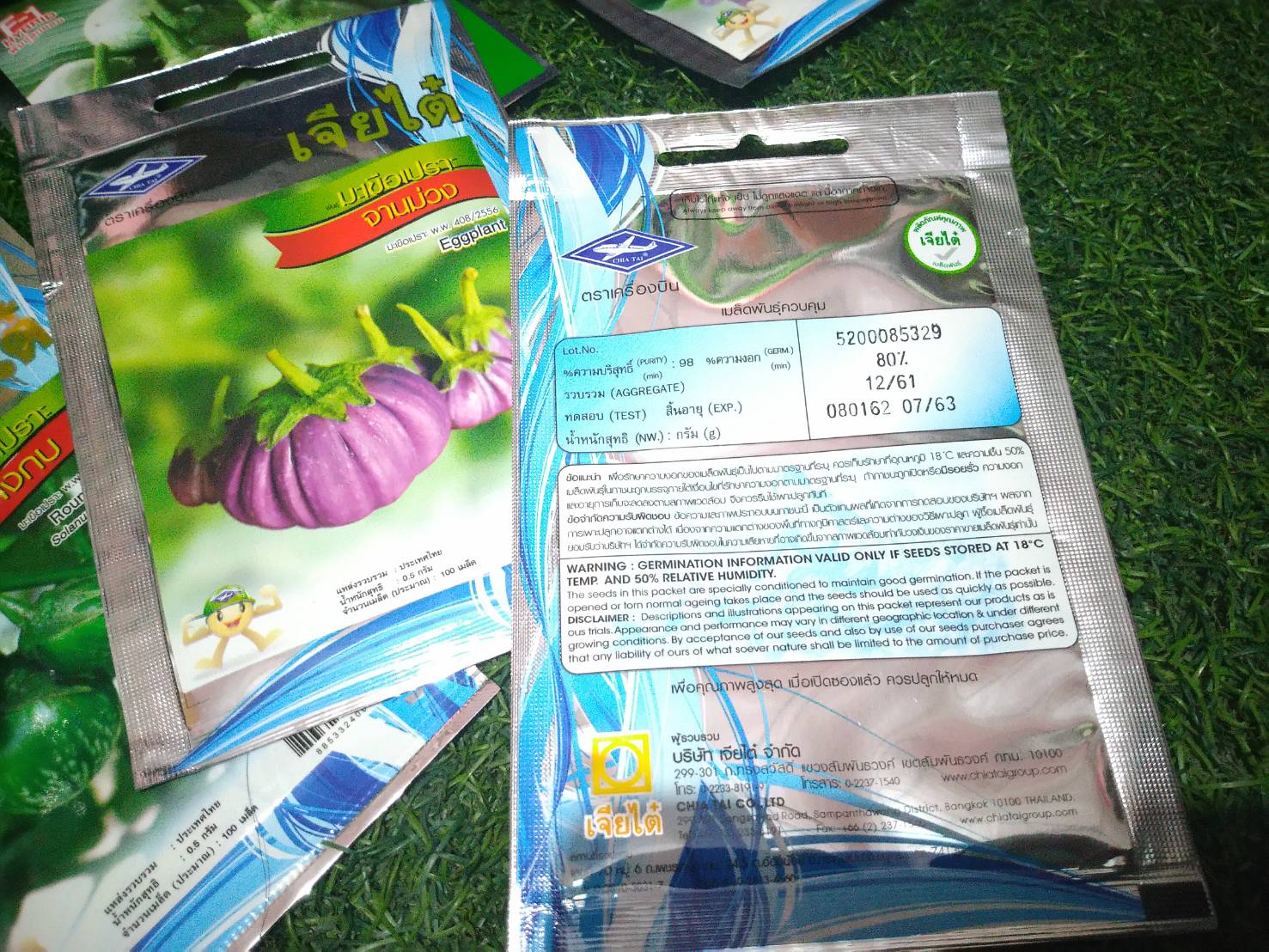 มะเขือไข่เต่าขาว Round eggplant เจียไต๋