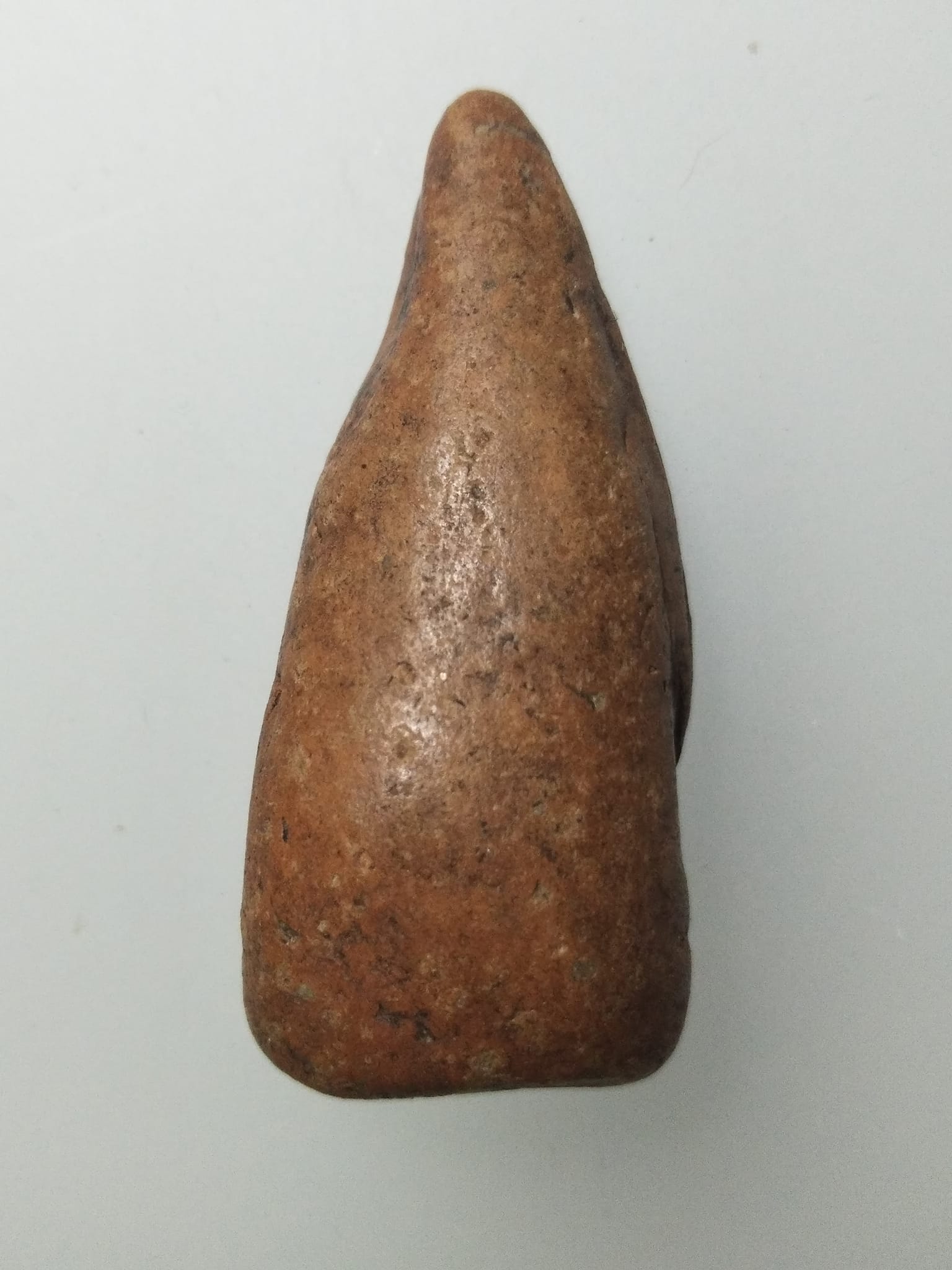 F231 พระเลี่ยง