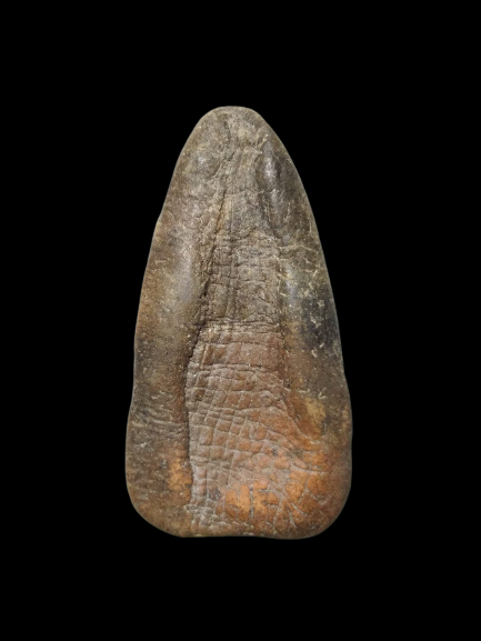 F023 พระท่ามะปราง