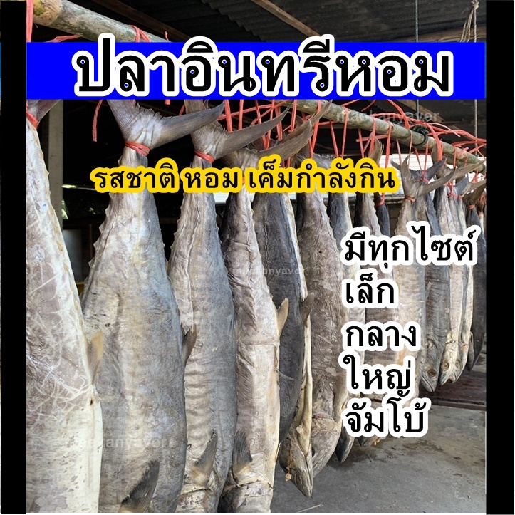 ปลาอินทรีหอม (แบบตัว)