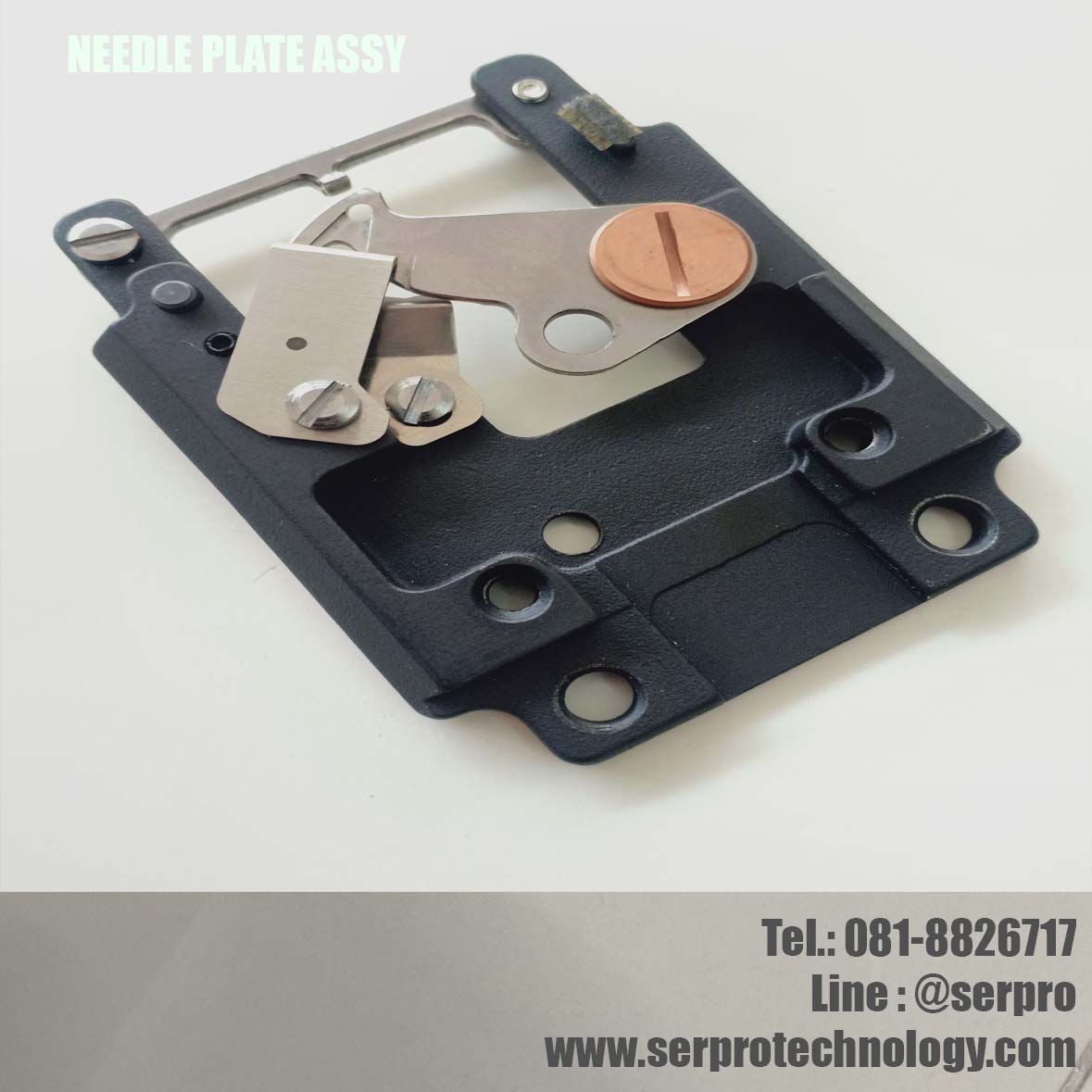 NEEDLE PLATE ASSY