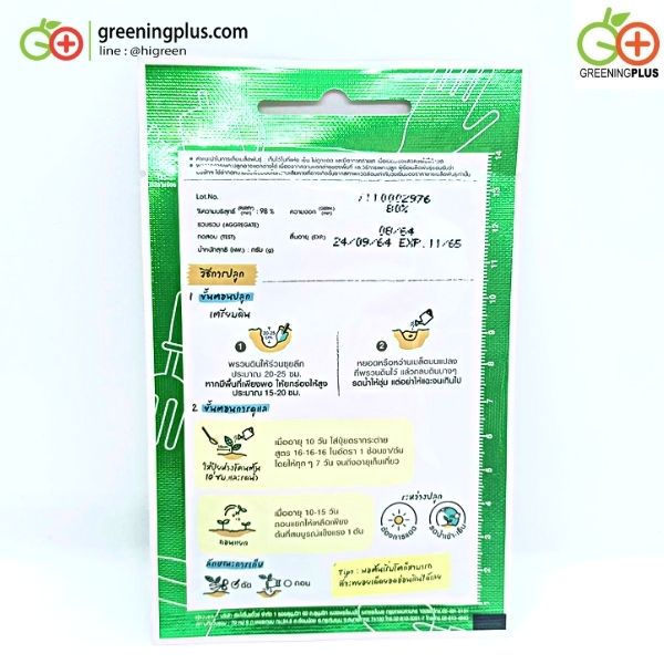 หน่อไม้ฝรั่ง แมรี่ (asparagus mary) เจียใต๋