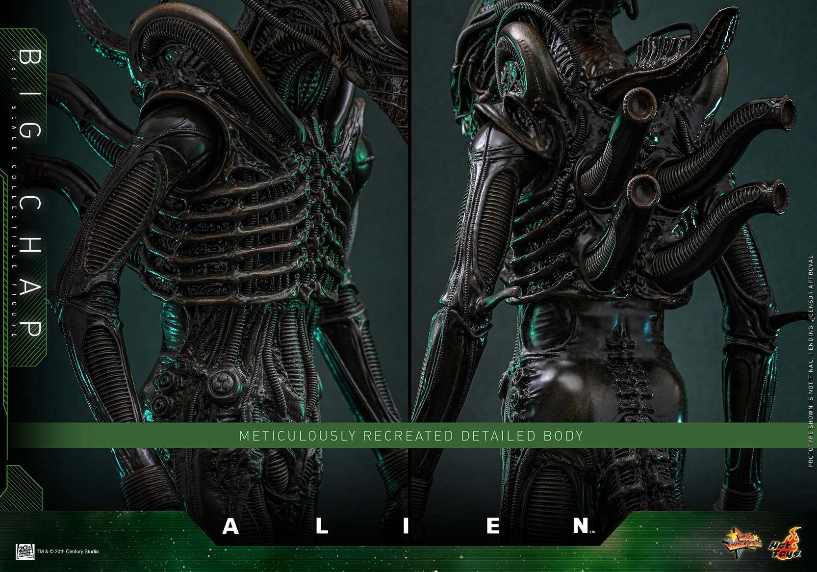 25/08/2568 Hot Toys MMS826 Alien - Big Chap