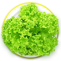 green coral 10,000 pills(ไม่เคลือบ)