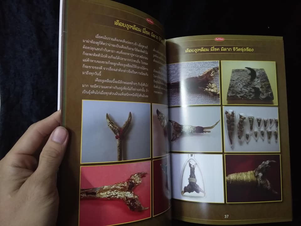 เครื่องราง ฉบับพิเศษ11