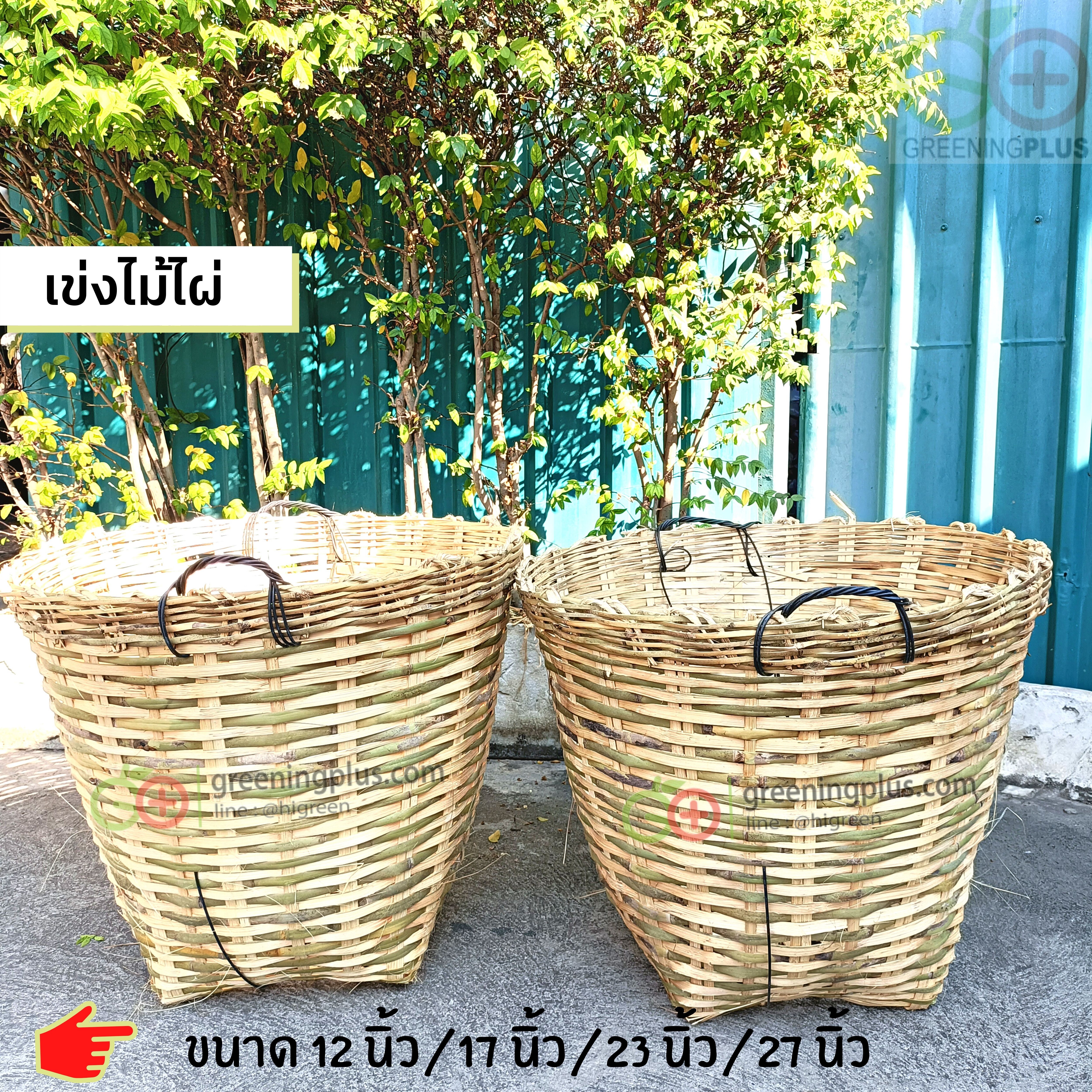 เข่งไม้ไผ่ (จำนวน 1 ใบ)