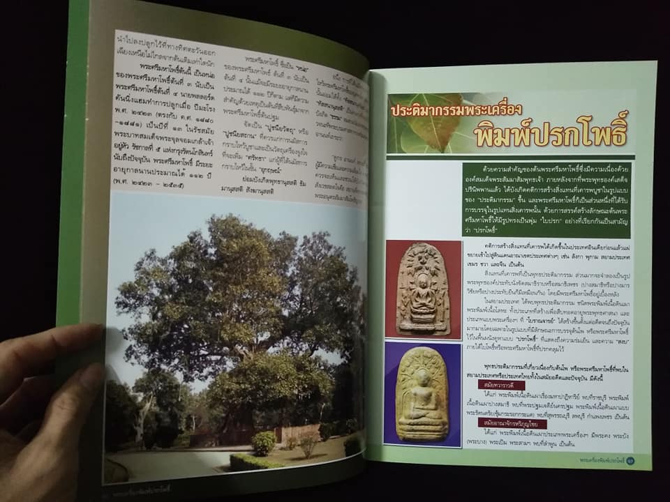 พระเครื่องพิมพ์ปรกโพธิ์