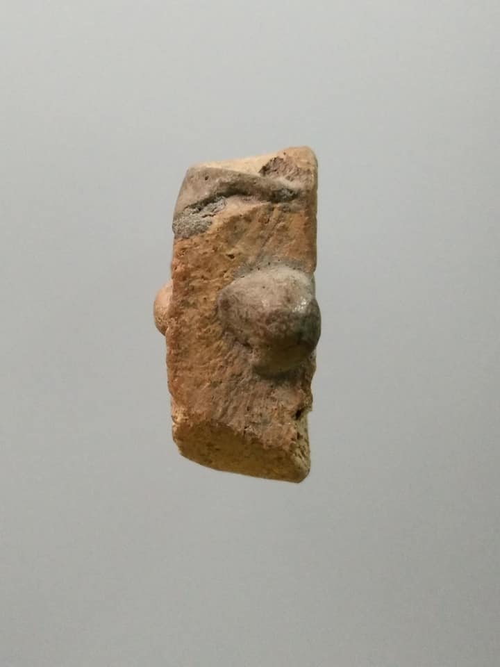 A841 พระหลวงพ่อปาน พิมพ์ขี่นก