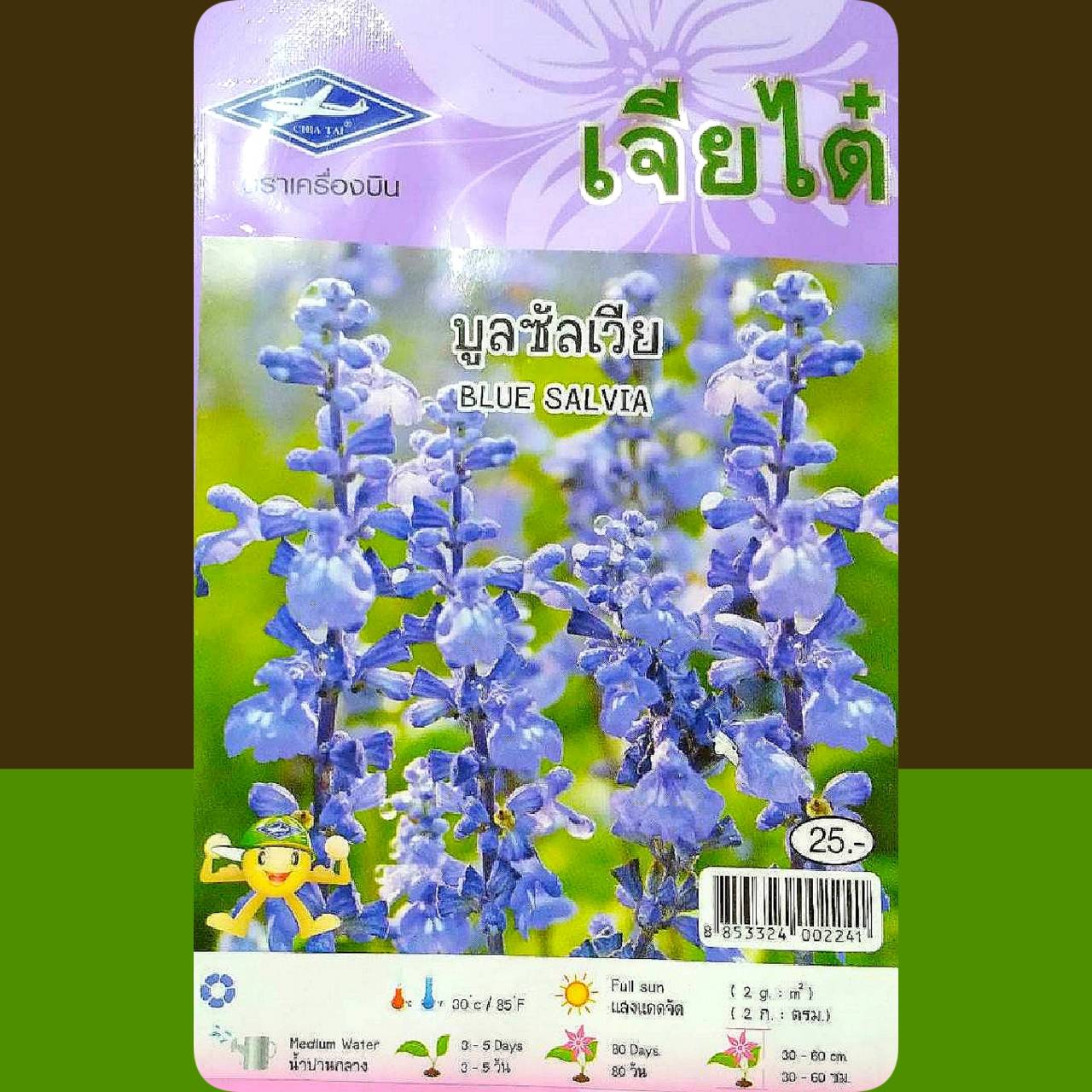 ดอกบูลซัลเวีย Bluesalvia เจียใต๋