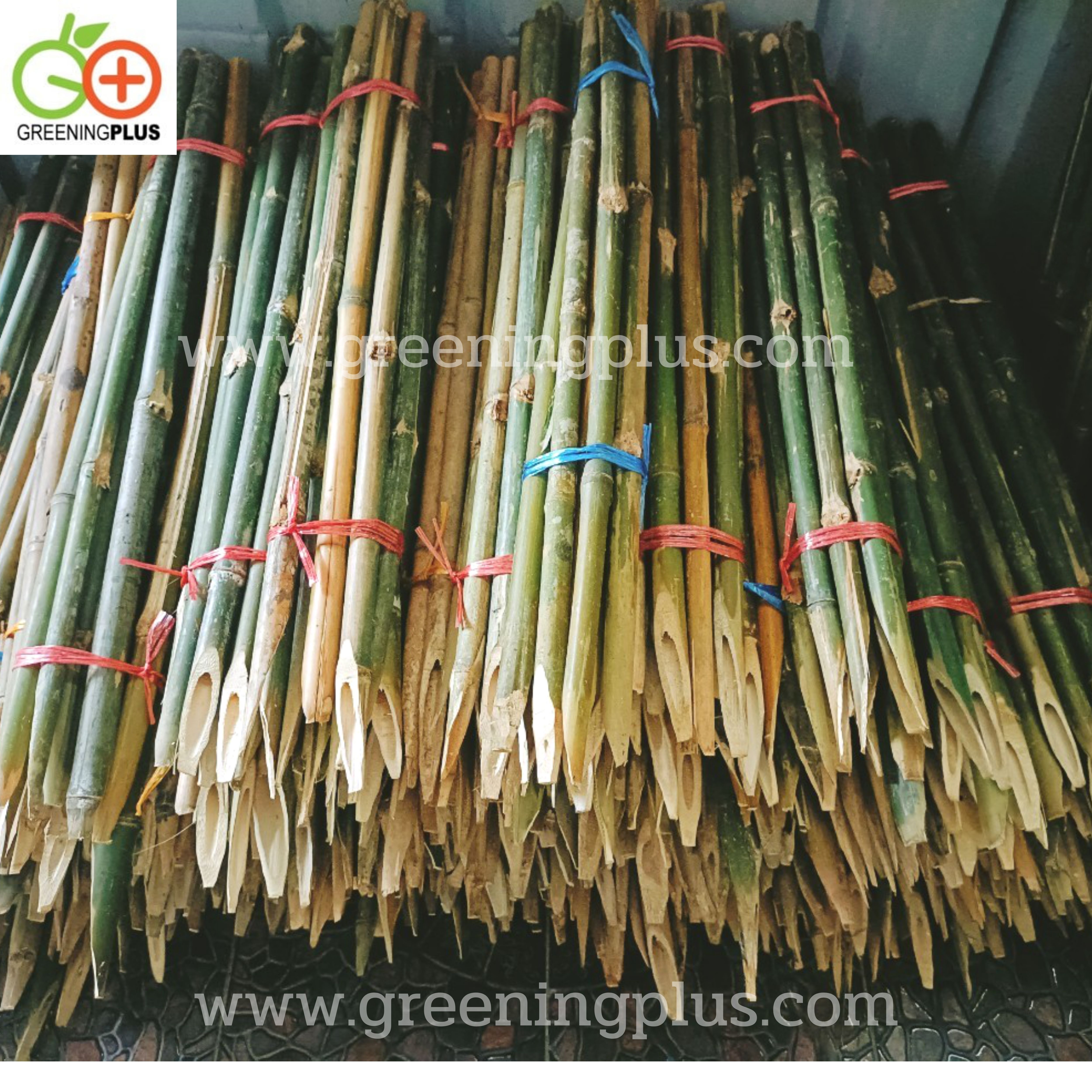 ไม้ปักค้ำต้นไม้ ไม้กลมแข็งแรง แหลมปลายสะดวกต่อการใช้งาน ขนาด 1.3-1.5 เมตร x 2 มัด