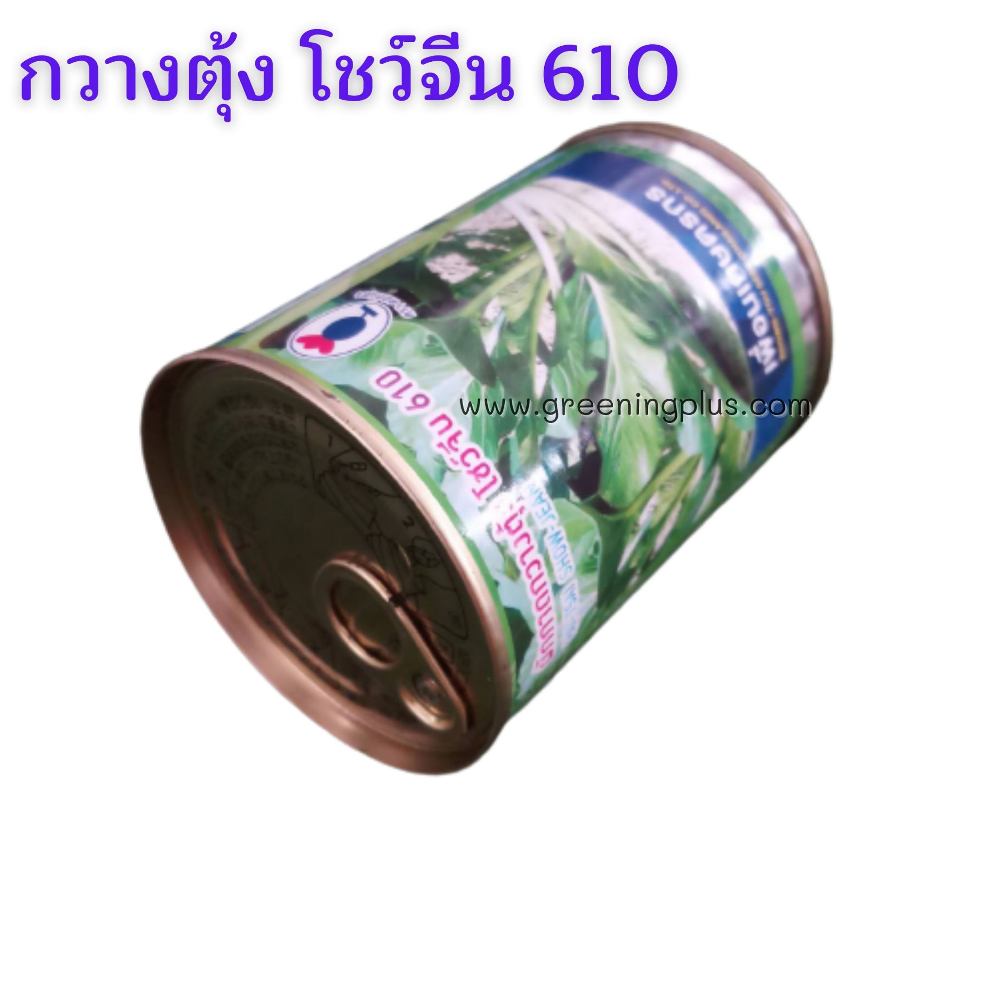 กวางตุ้งโชว์จีน (Pai Tsai) เพื่อนเกษตร 100 กรัม