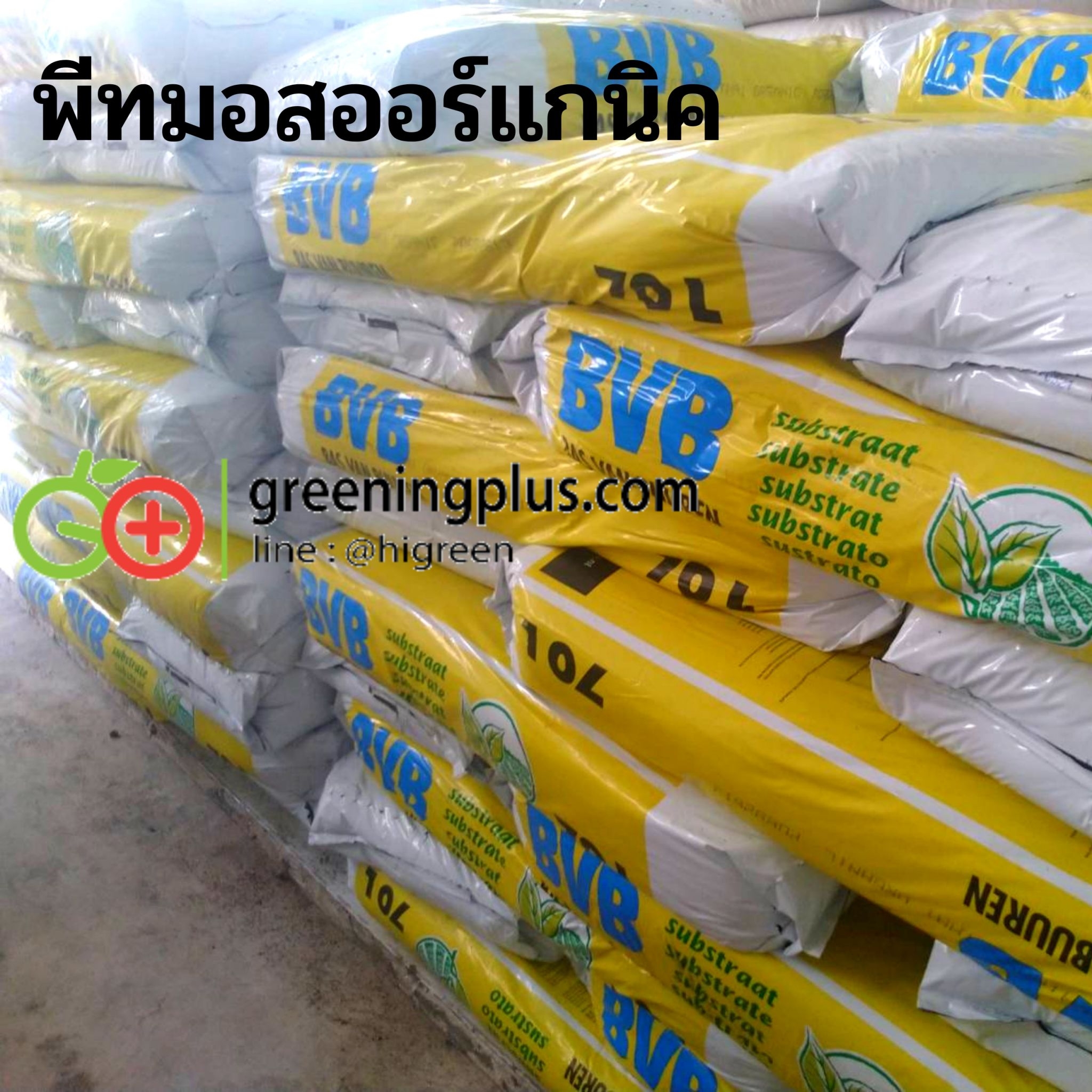 พีทมอสออร์แกนิค (Peat moss Organic) 70ลิตร/กระสอบ 10 กระสอบ