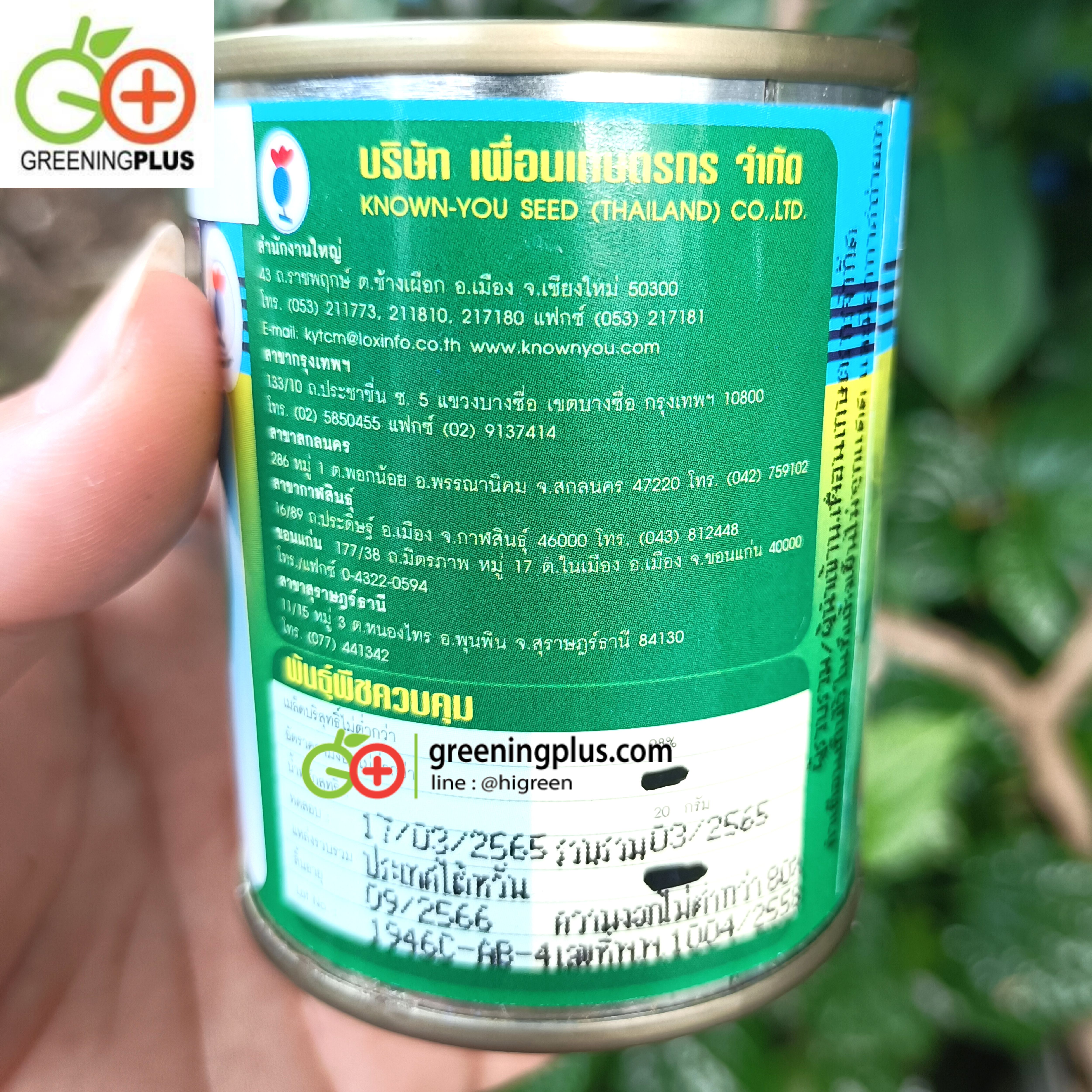 กวางตุ้งฮ่องเต้เทนเดอร์ TA087 (Pai Tsai) เพื่อนเกษตร